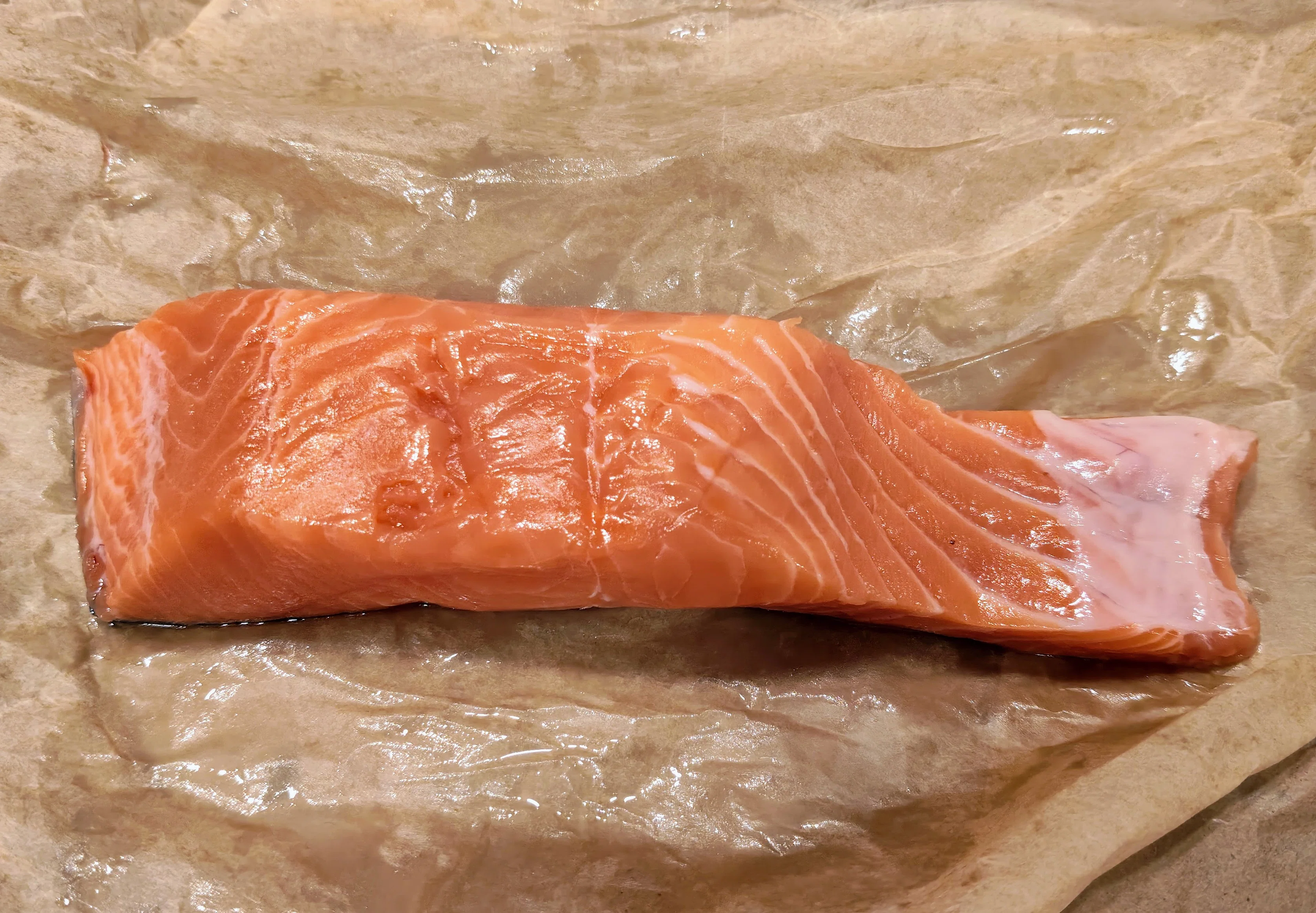 魚】 アメリカでいろんなサーモンを食べ比べてみました 魚類2種類追加
