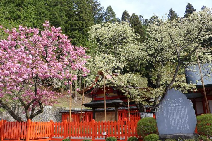 Ukon Kanazakura Shrine (Kofu, Yamanashi) | An ancient shrine deep in ...
