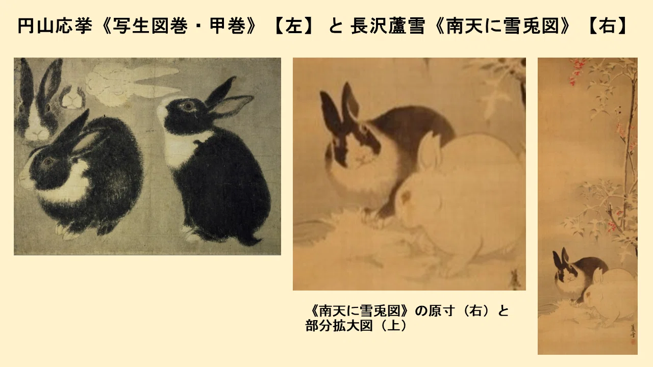 日本美術に描かれたウサギは、何ウサギだったのか？｜ウサギの耳より話