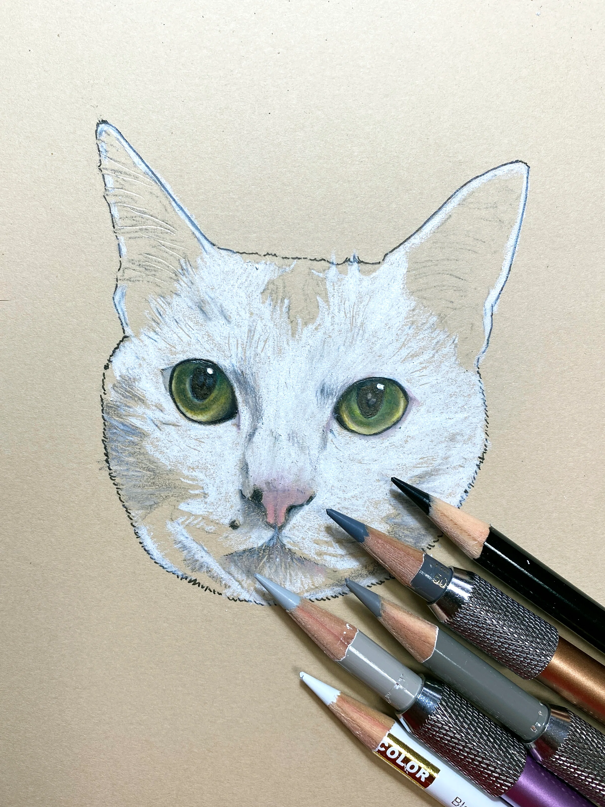 白猫さんの毛は白だけでは描けない。｜にゃごろう