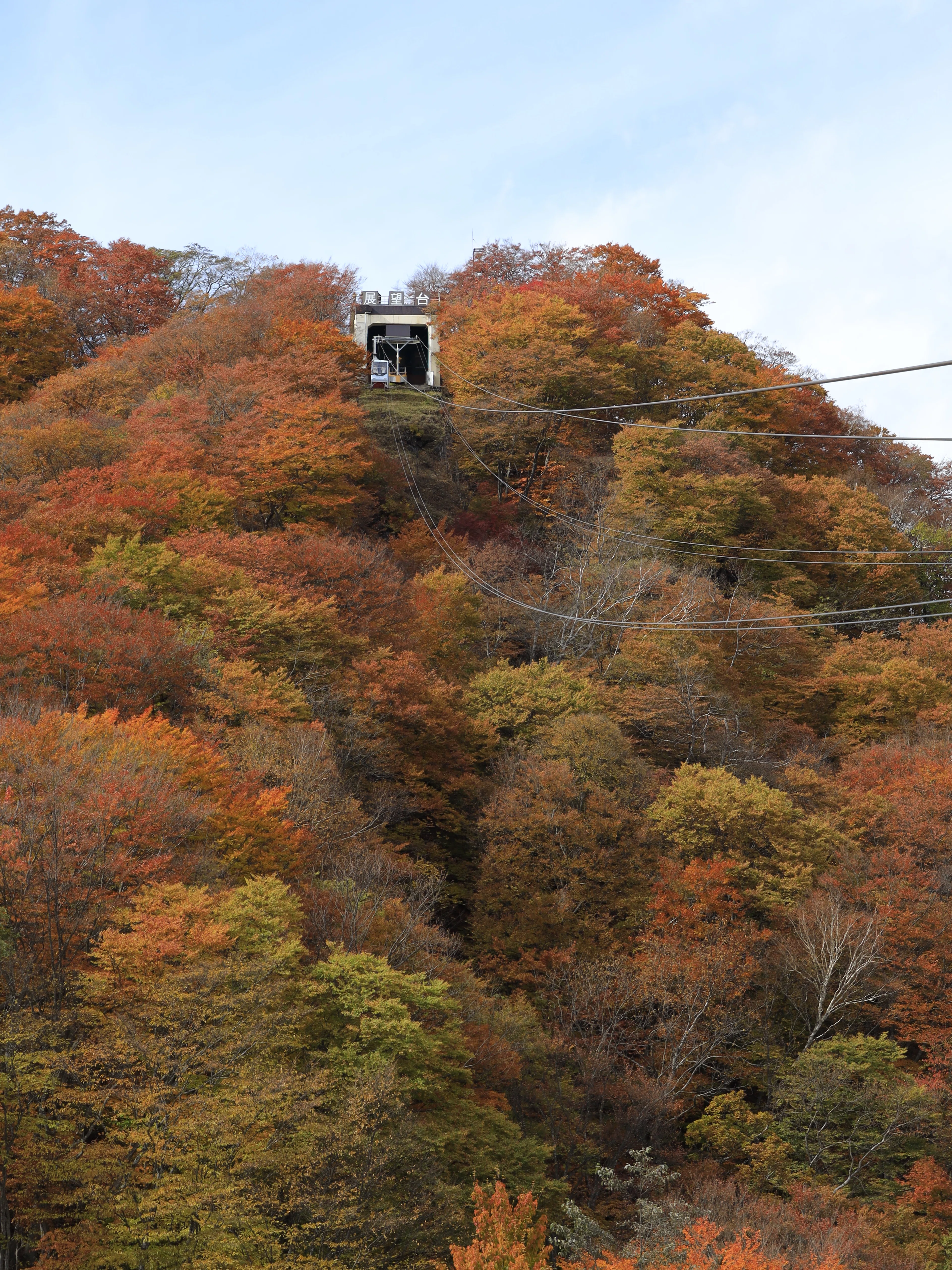 関東風景・撮影中毒オジが3年めぐって見つけた！今年、絶対行って