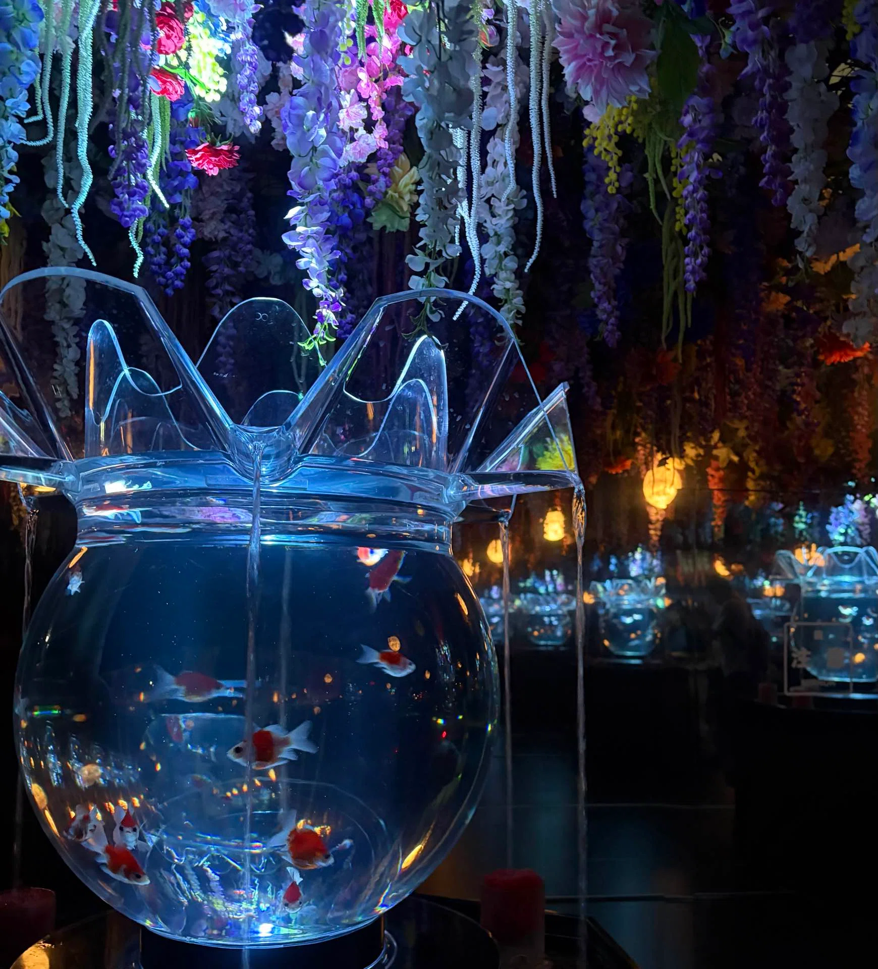 アートアクアリウム展名古屋2026｜金魚が泳ぐアート｜Tika