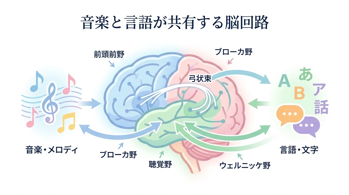 The Language Skills of 'Singing Children' — The Scientific Connection ...