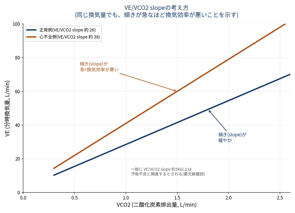 [VE/VCO2 slope Edition: Heart Failure Assessment] VE/VCO2 slope, what ...