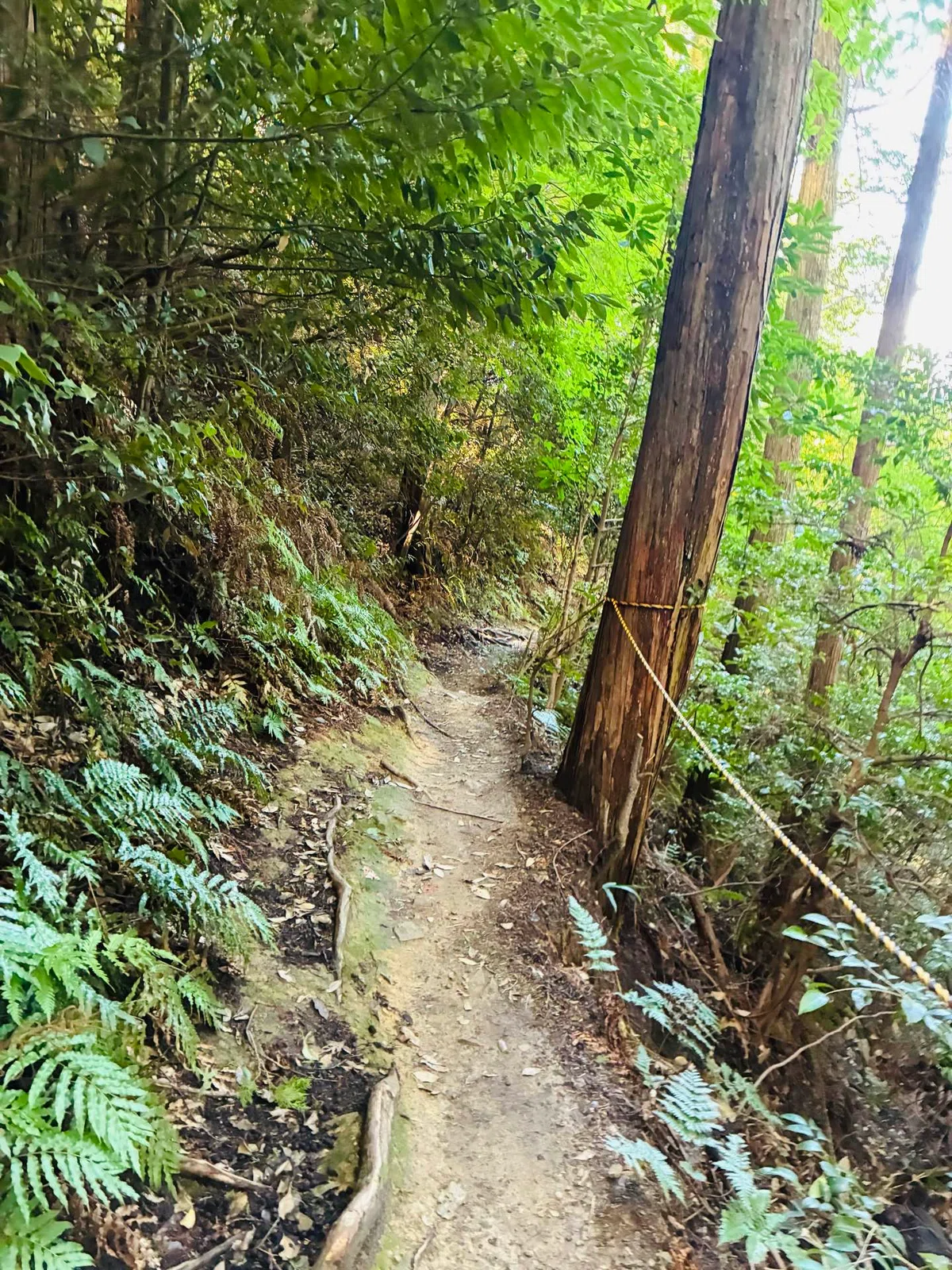 [Solo Female Travel] A Stroll Through Omihachiman (Shiga)｜N.