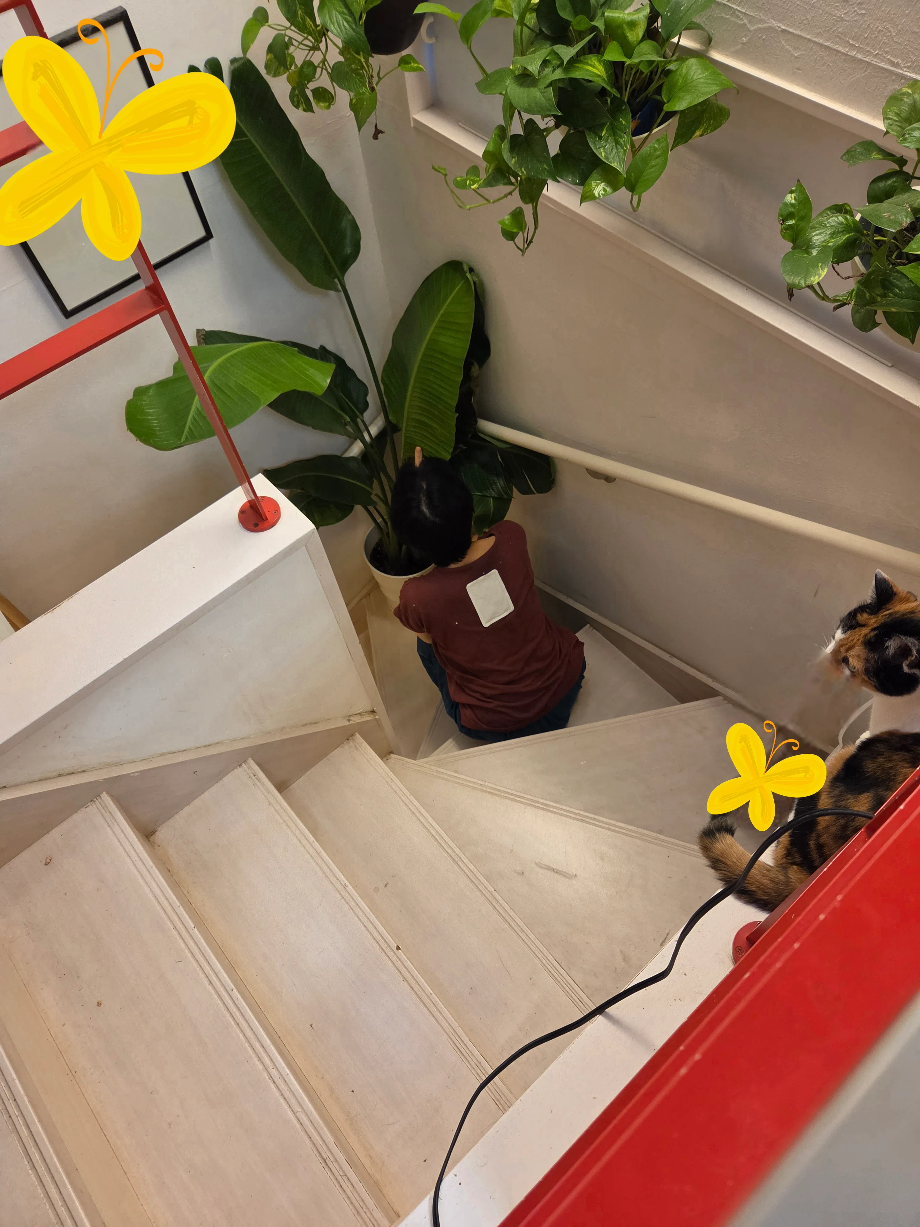 Searching for the temperature and humidity where I, with multiple ...