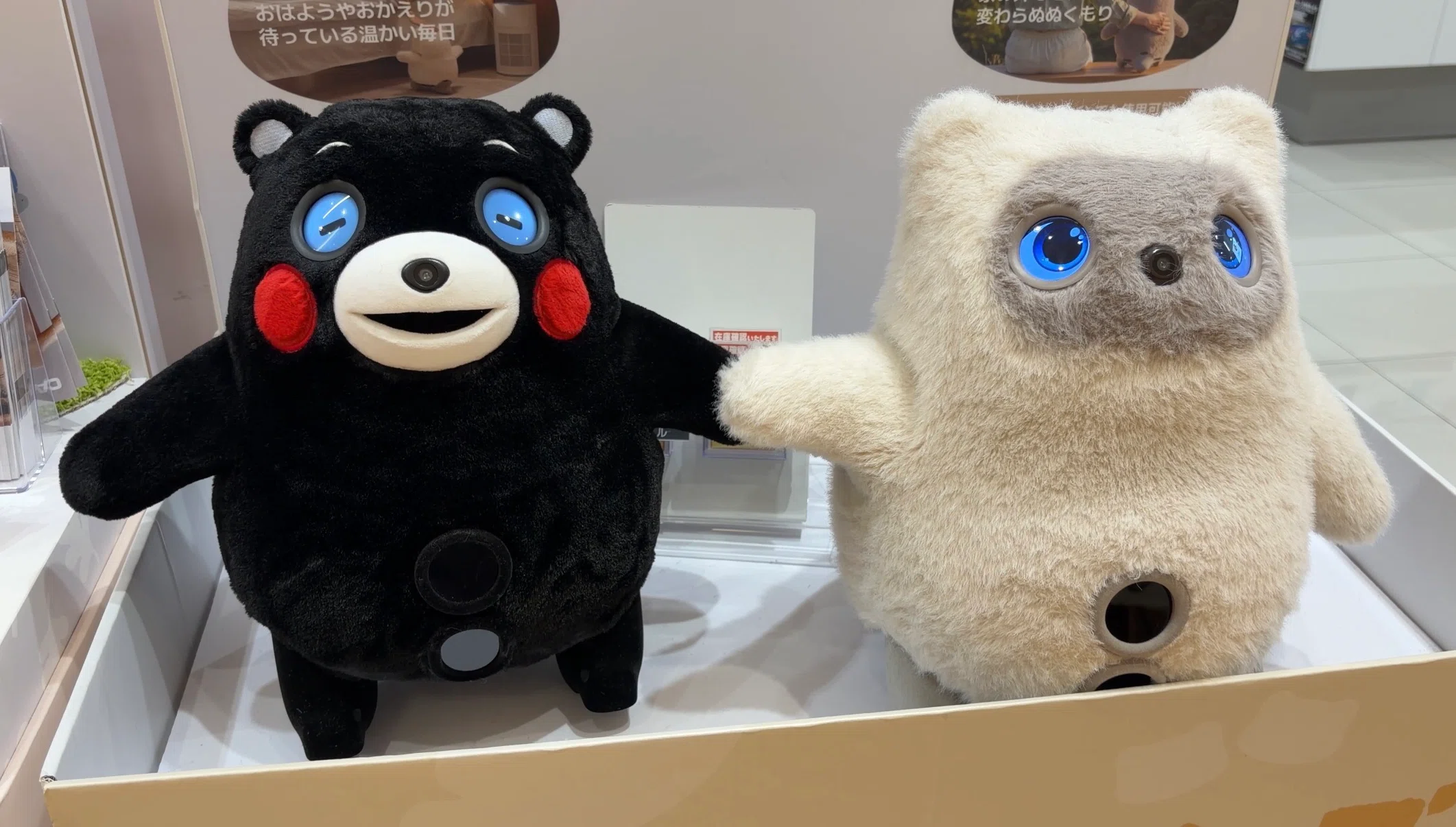 衝撃コラボ】KATAフレンズ くまモンver.に会ってきました。通常との
