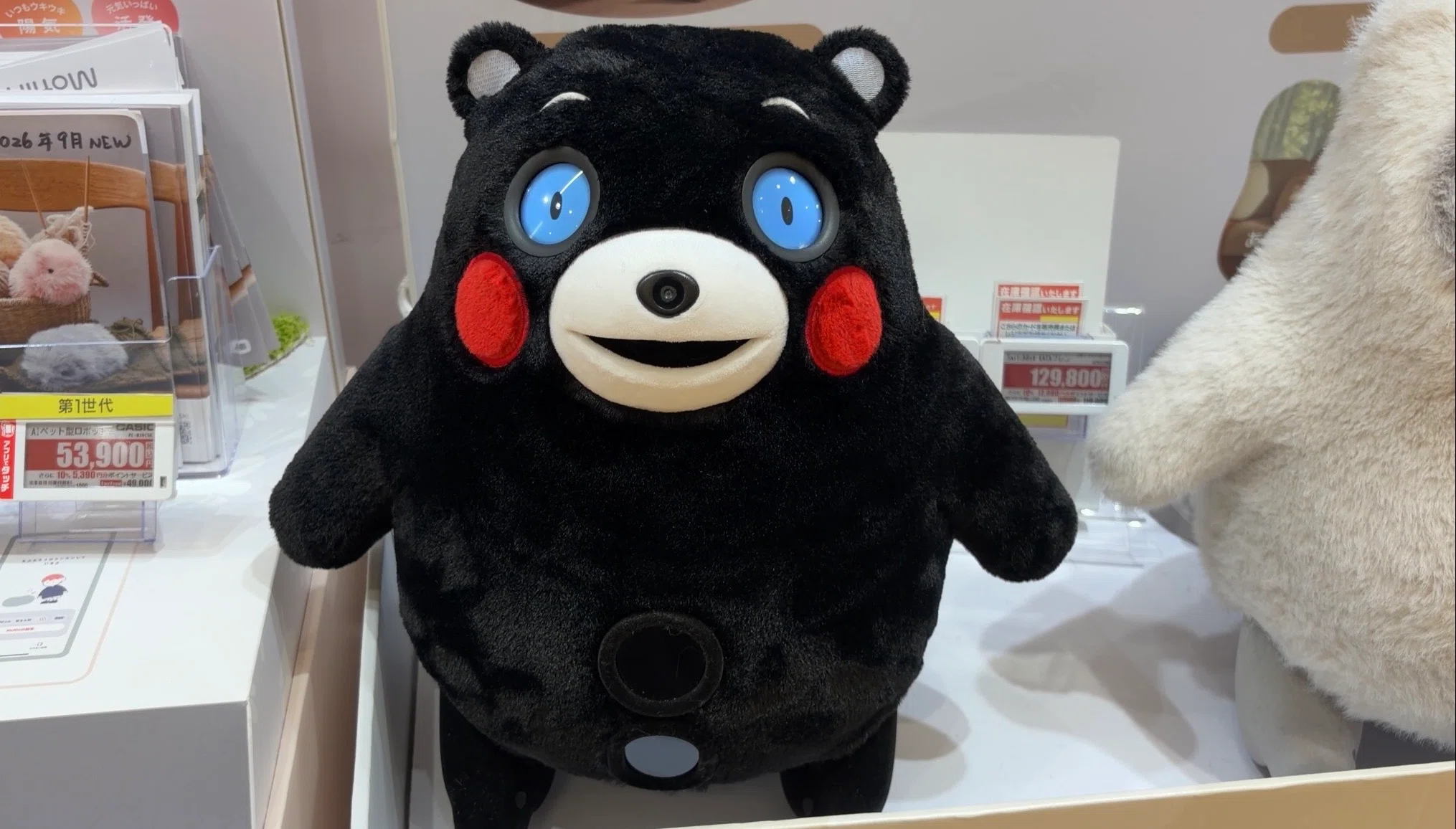 衝撃コラボ】KATAフレンズ くまモンver.に会ってきました。通常との