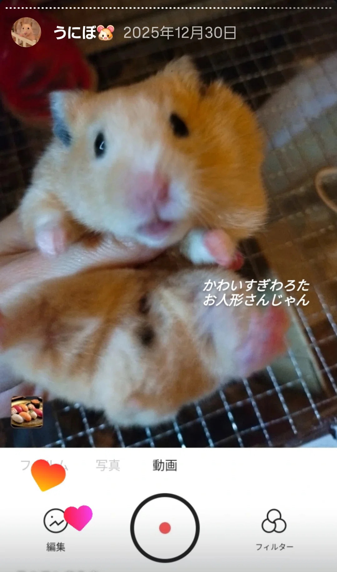 画像