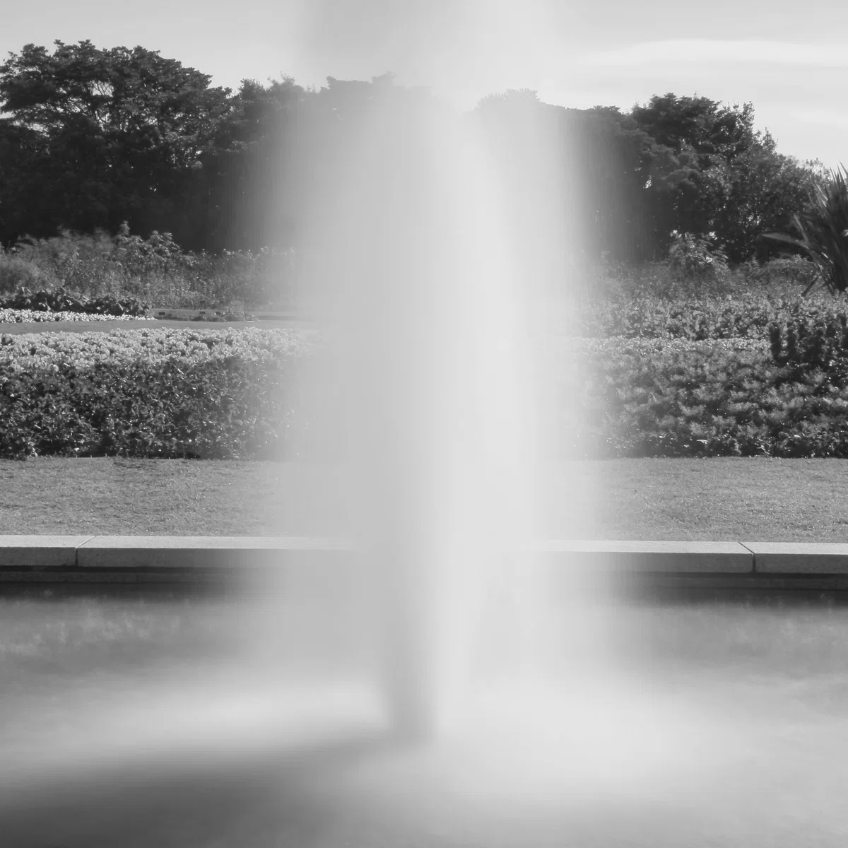 [Photo] Serene splashes, the garden of the botanical garden where time ...