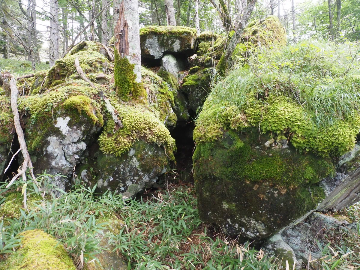 Column 108: Tateshina Highlands Lava｜sasayan