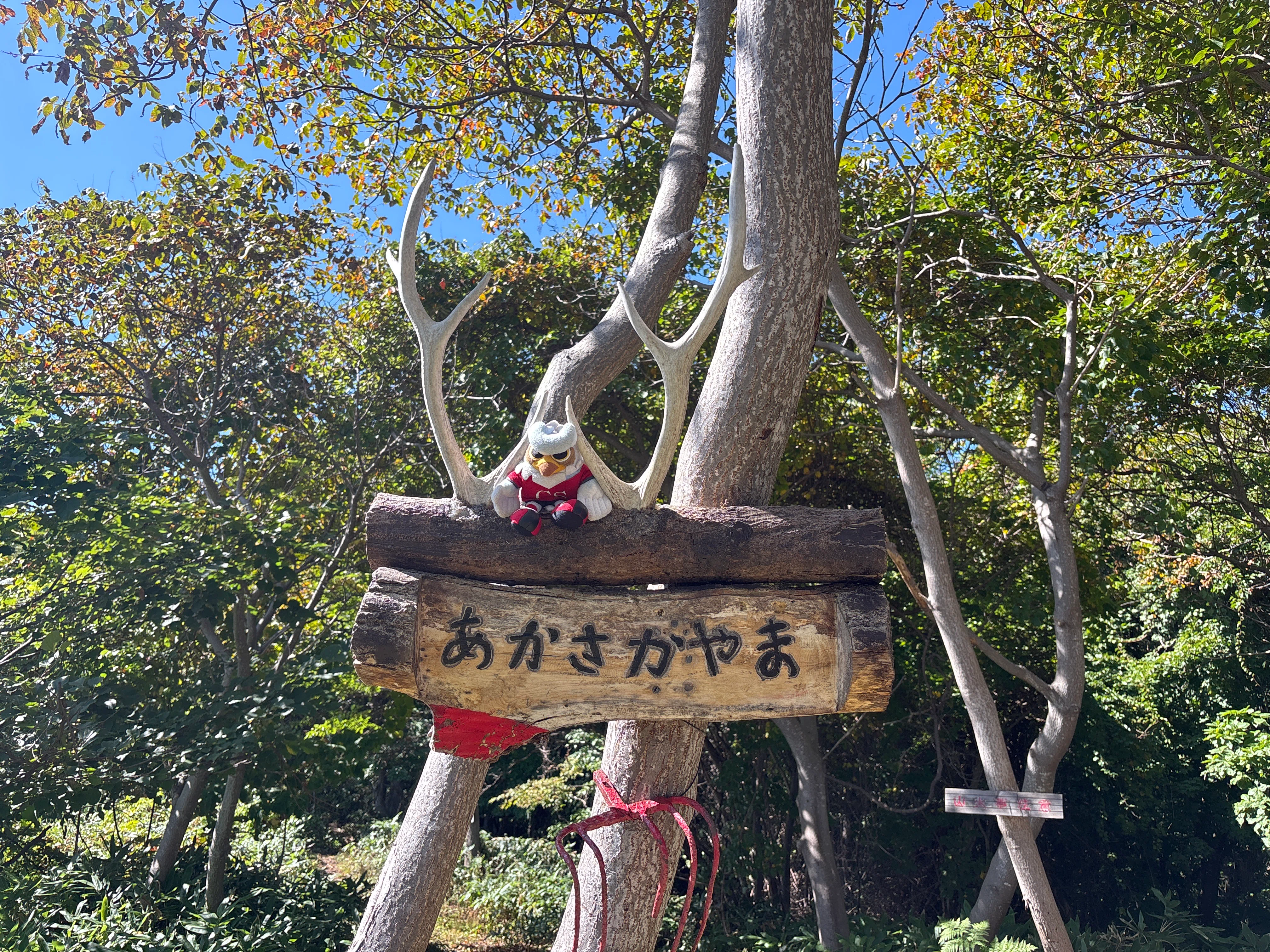 山行記録】三角山→赤坂山（R8.9.23（祝））｜鶴木貞男＠コンサポ登山