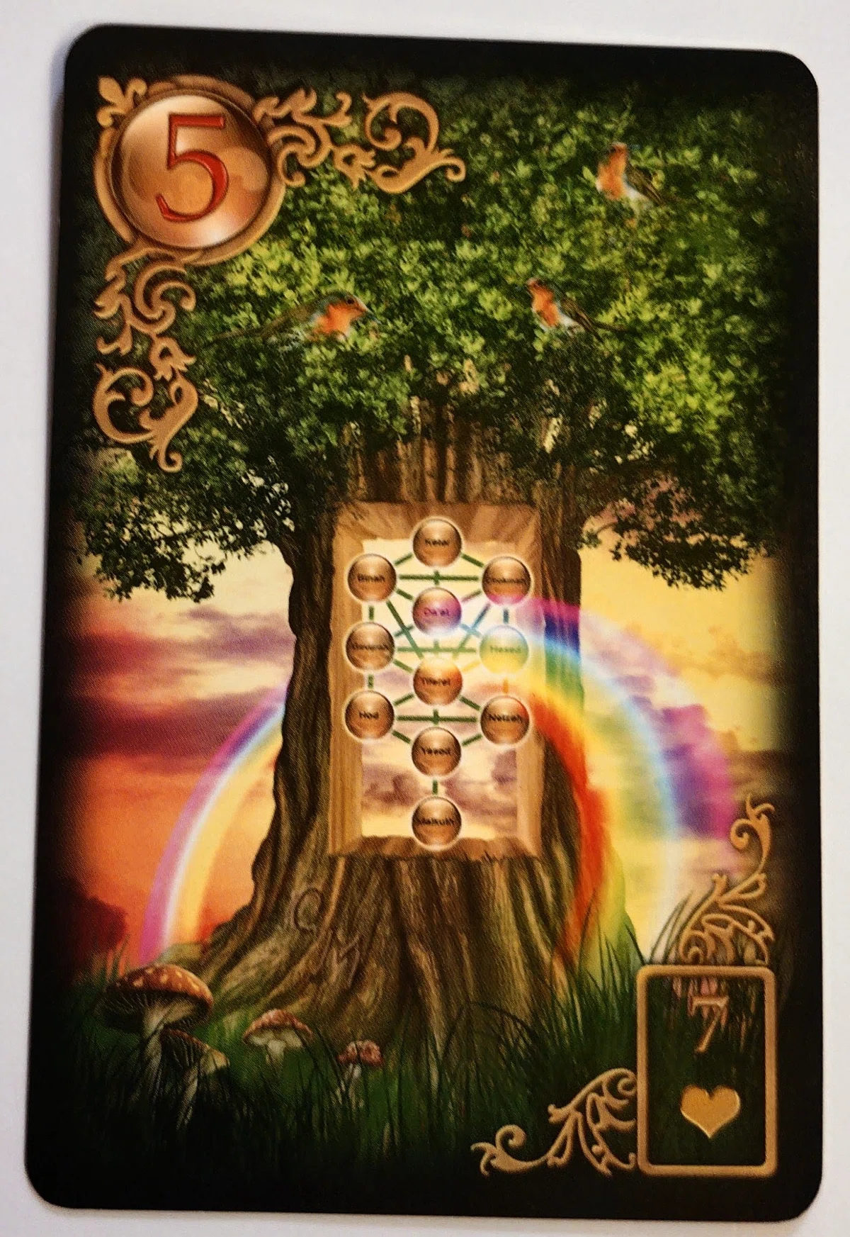 Philopsophy Tree Lenormand Card No. 5 Tree|ゆう