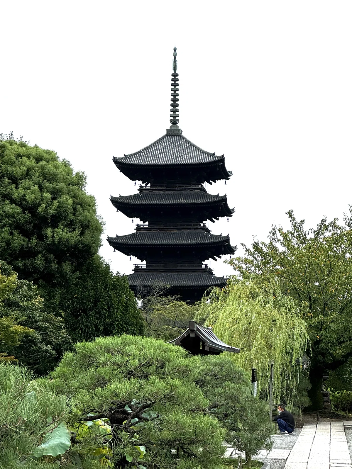 Toji Tample Reaching the Goal‼️【Journey to Fudo Myoo: Final Episode】|モモけん