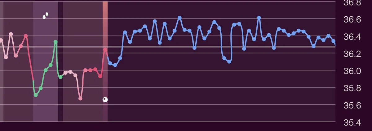 Health Management Tool (Oura Gen4) Implementation Record｜yukatan