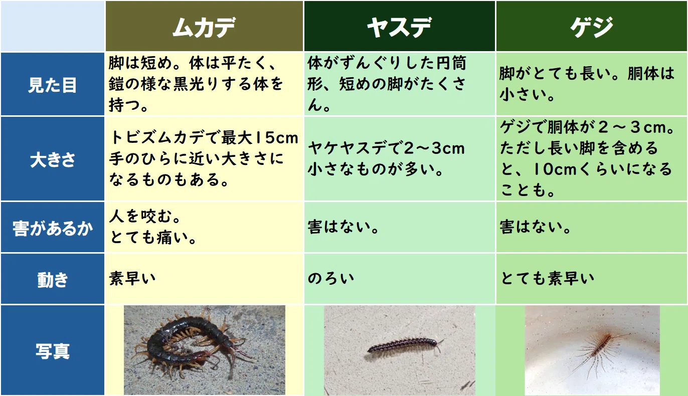 活動歴および当時の関連ビジュアル記録