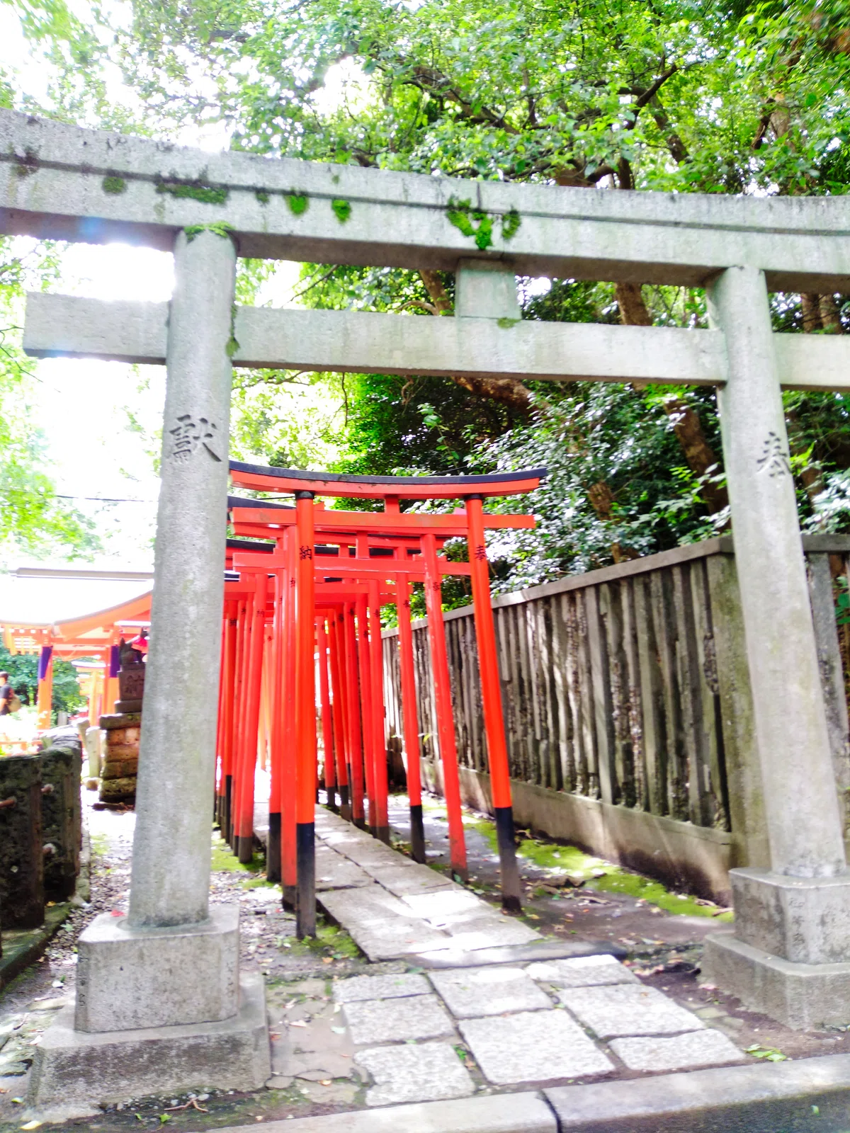 A story about taking a photo walk with a Rakuten mini｜Nero_hiro