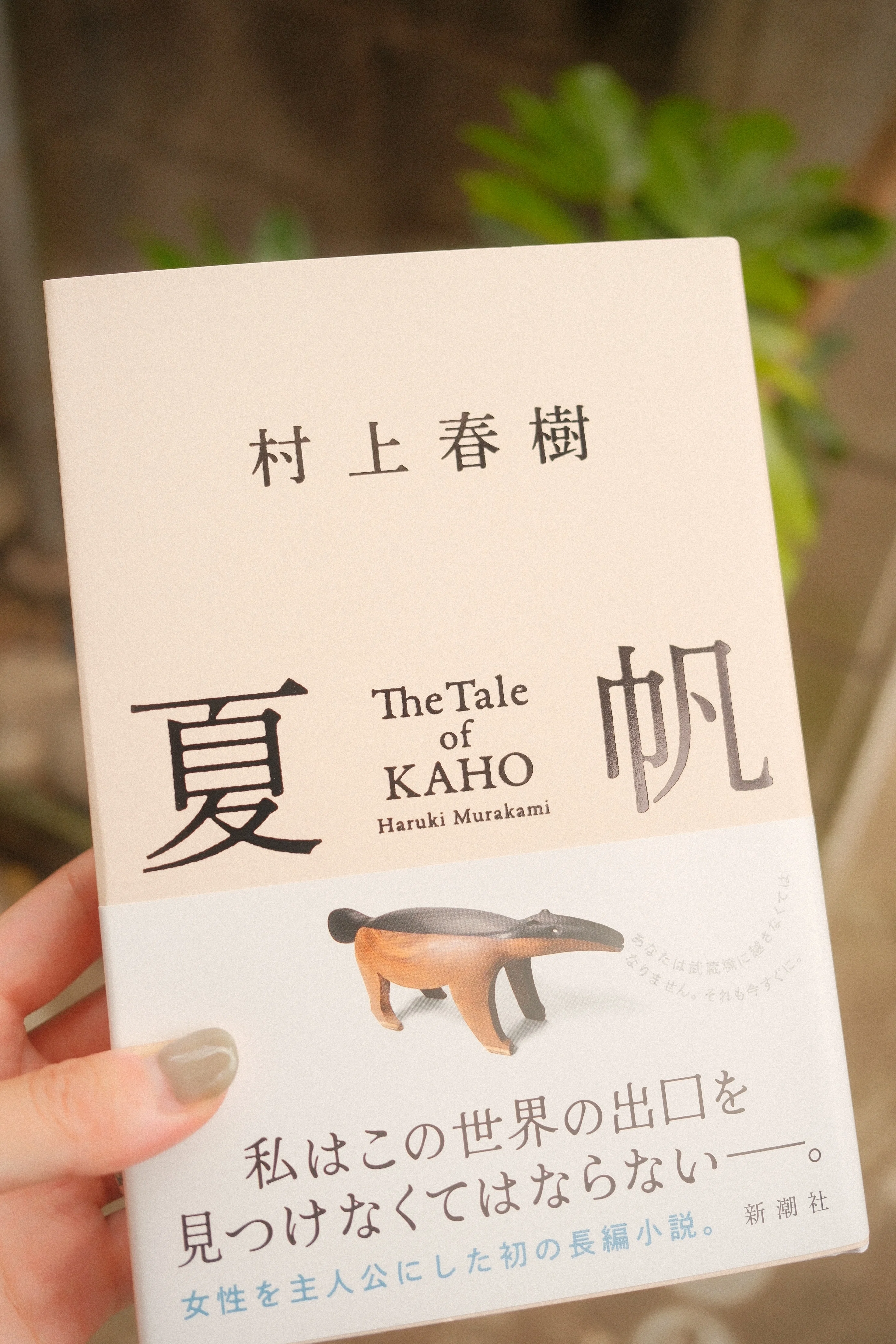 なぜハードカバー本を買うのか、わたしにはわからなかった。｜Haruna