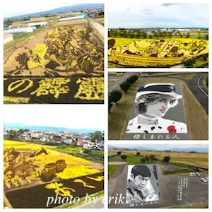 Paddy Rice Color A Trip to Aomori, Part 3|ビール散歩大好き
