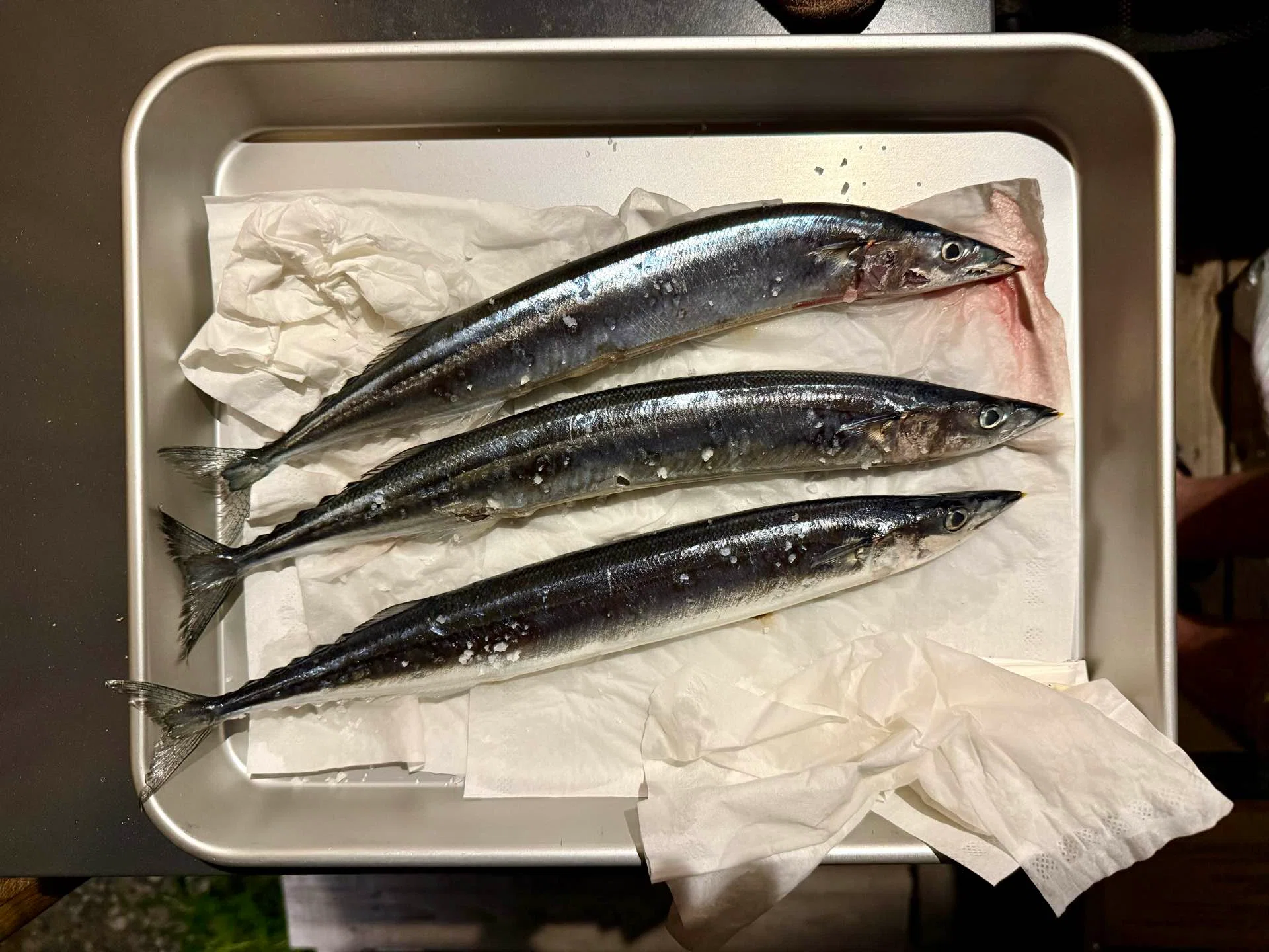 秋刀魚の話｜栗栖 望