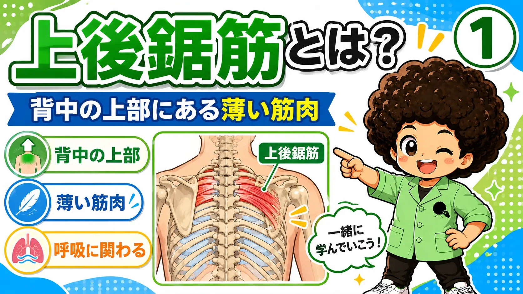 [Anatomy] Organizing the Serratus Posterior Superior with Diagrams ...