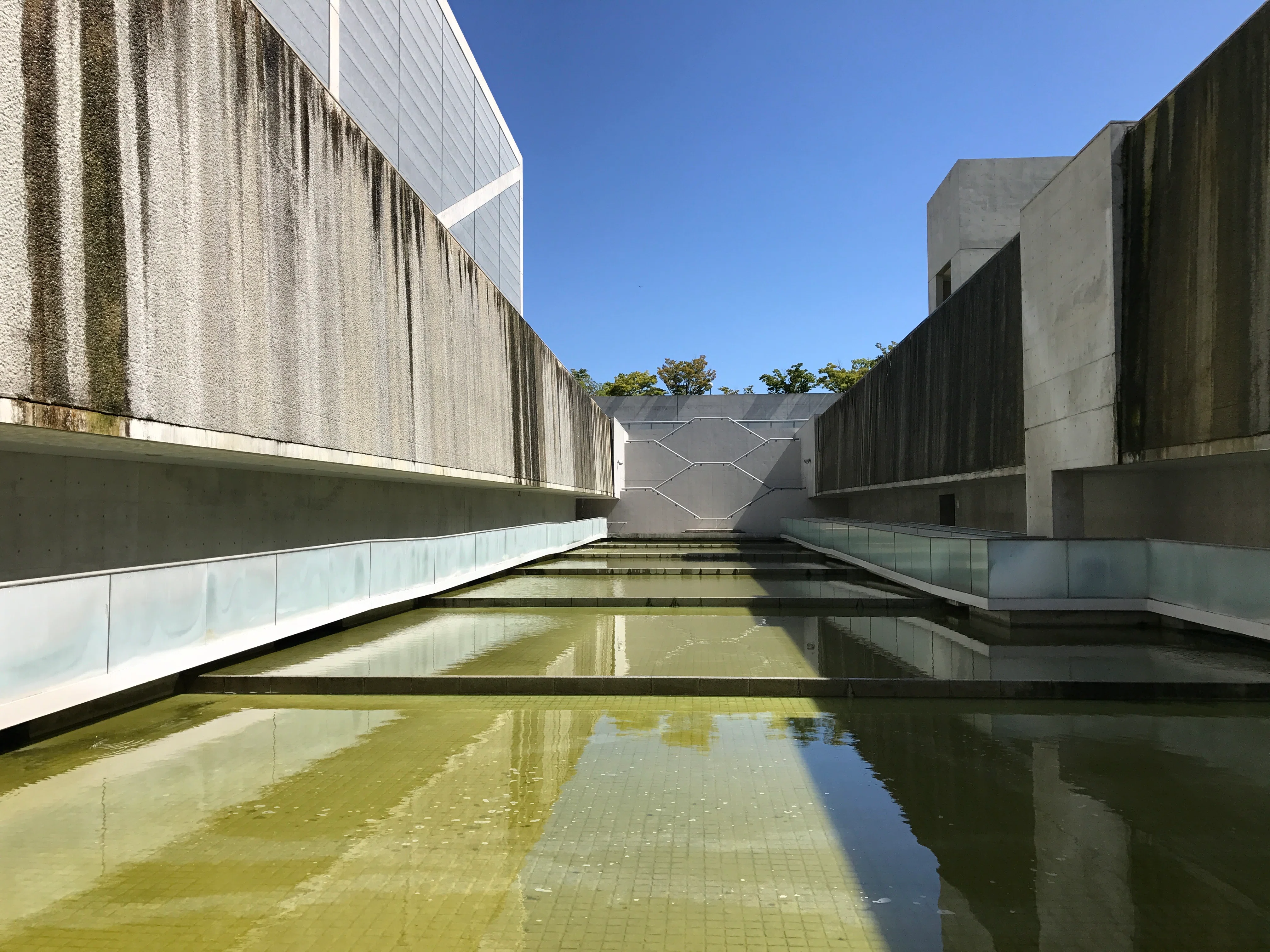 安藤忠雄「狭山池博物館」でシャッターが止まらなかった理由｜Tadao