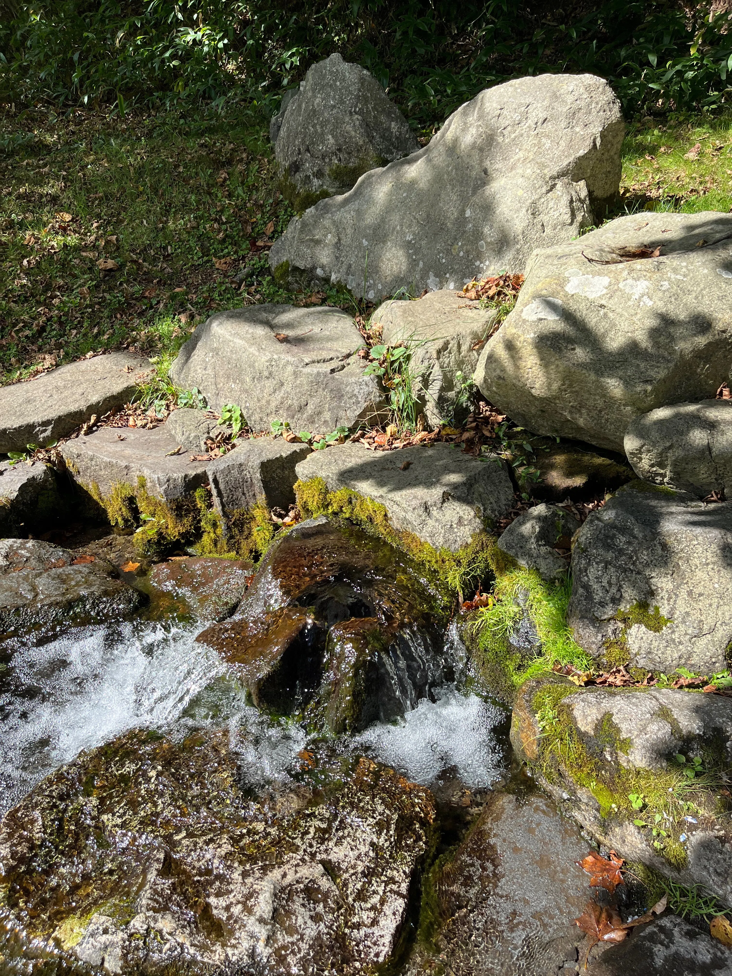 Visiting Shiraoi Town's Hidden Gem, 'Shinsui Park': Encountering the ...