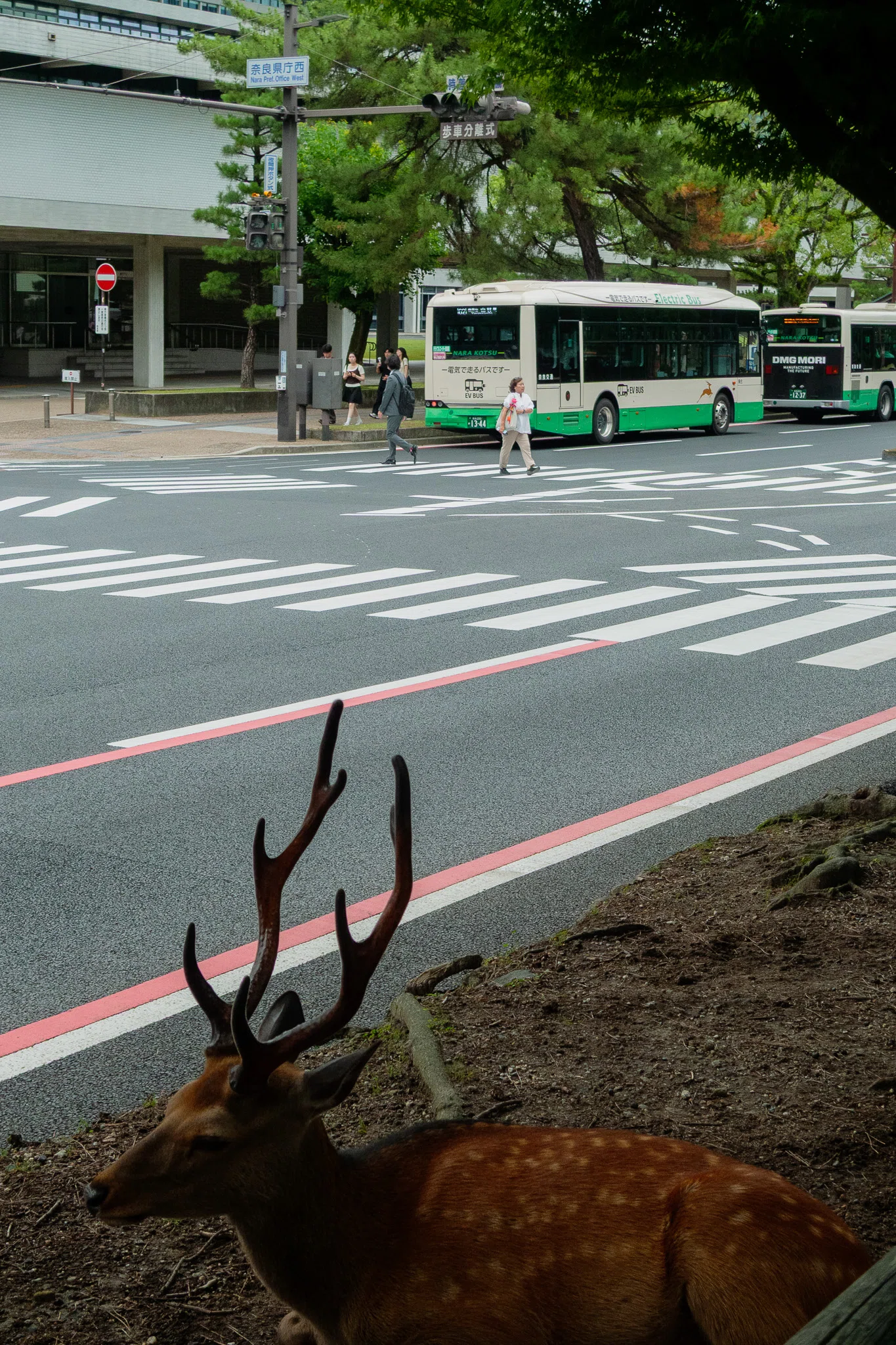 ネバーランドまで約40分」｜会社員とカメラ