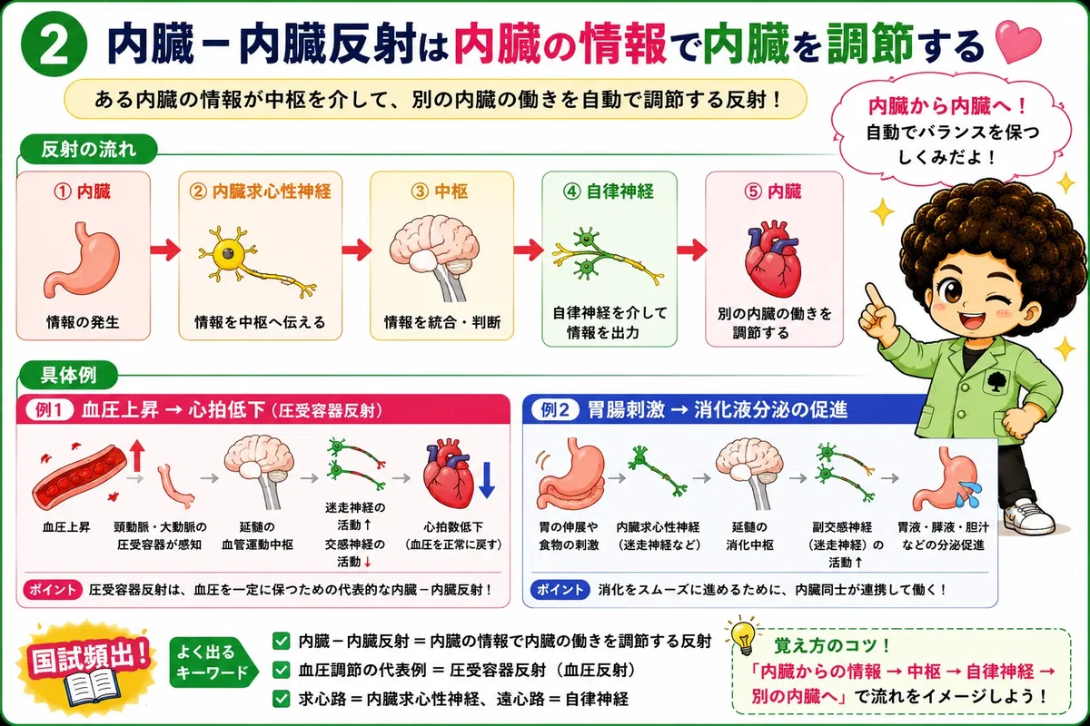 [Acupuncture and Moxibustion Theory] Reflexes via the Autonomic Nervous ...