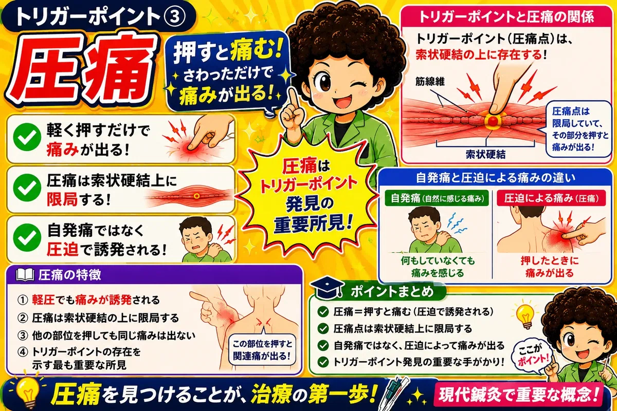 [Acupuncture and Moxibustion Theory] What are Trigger Points ...