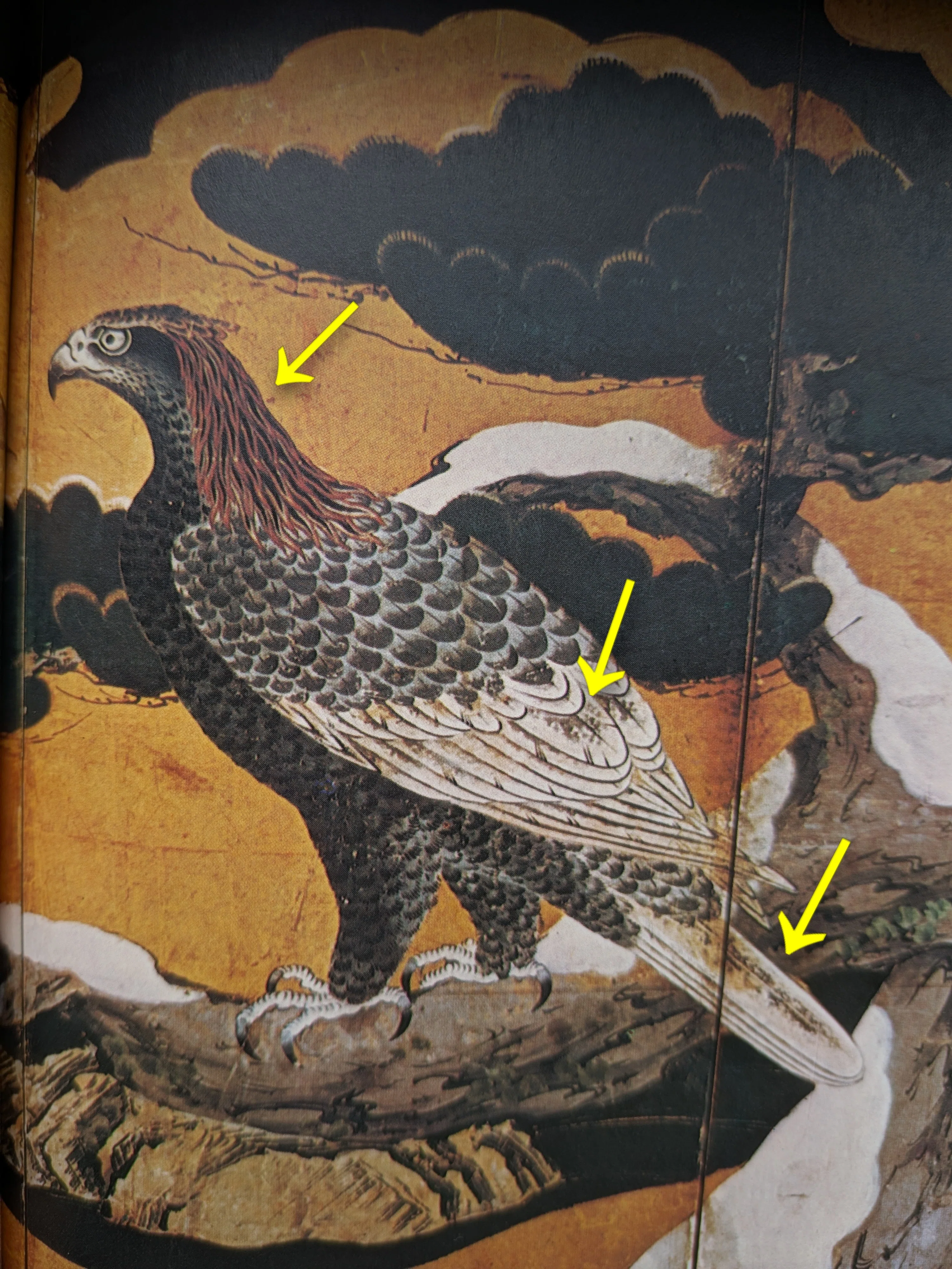 鷲・鷹」絵画の謎｜鷹司