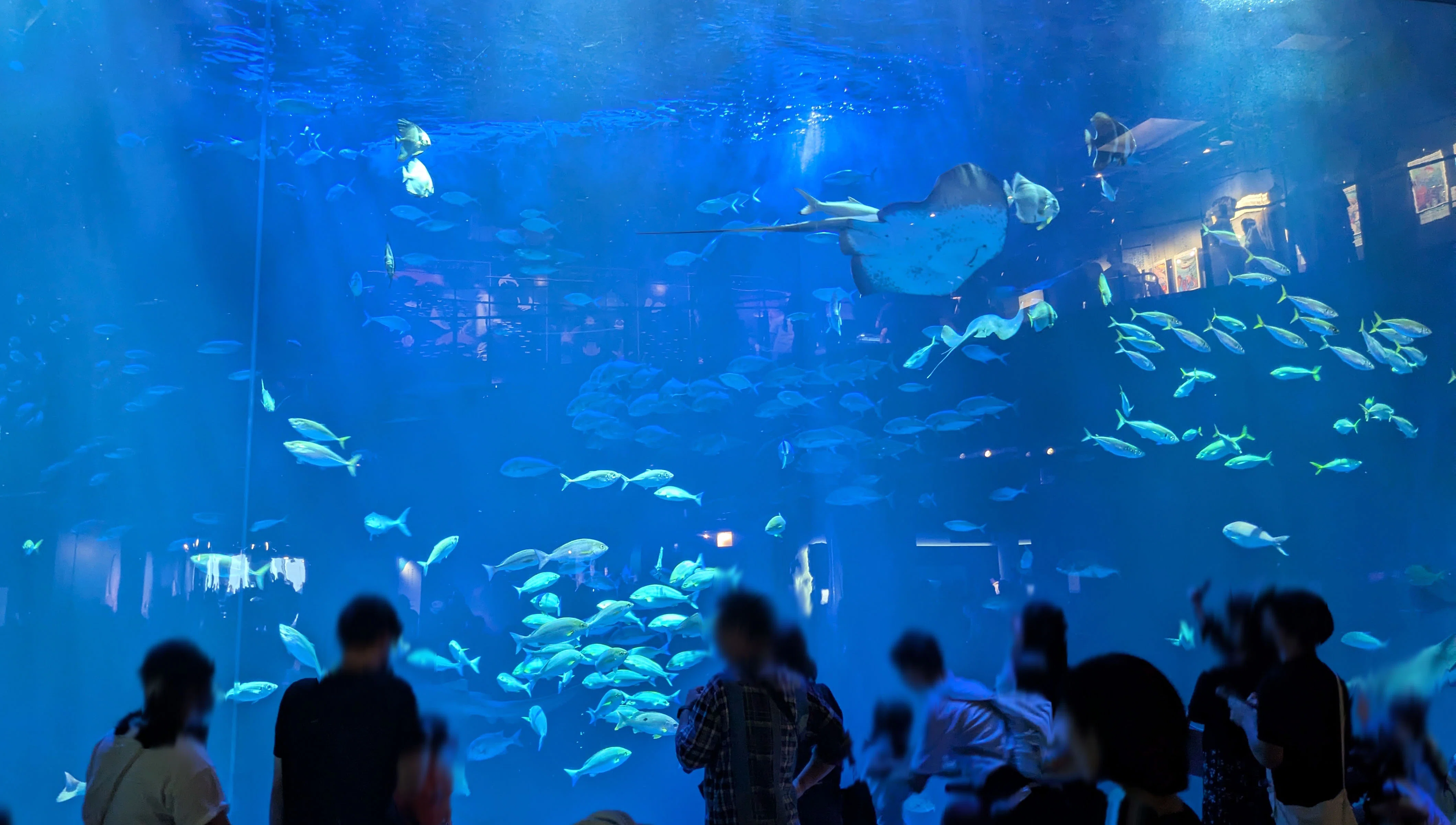 記念メダル】四国水族館で集める｜ATUPON