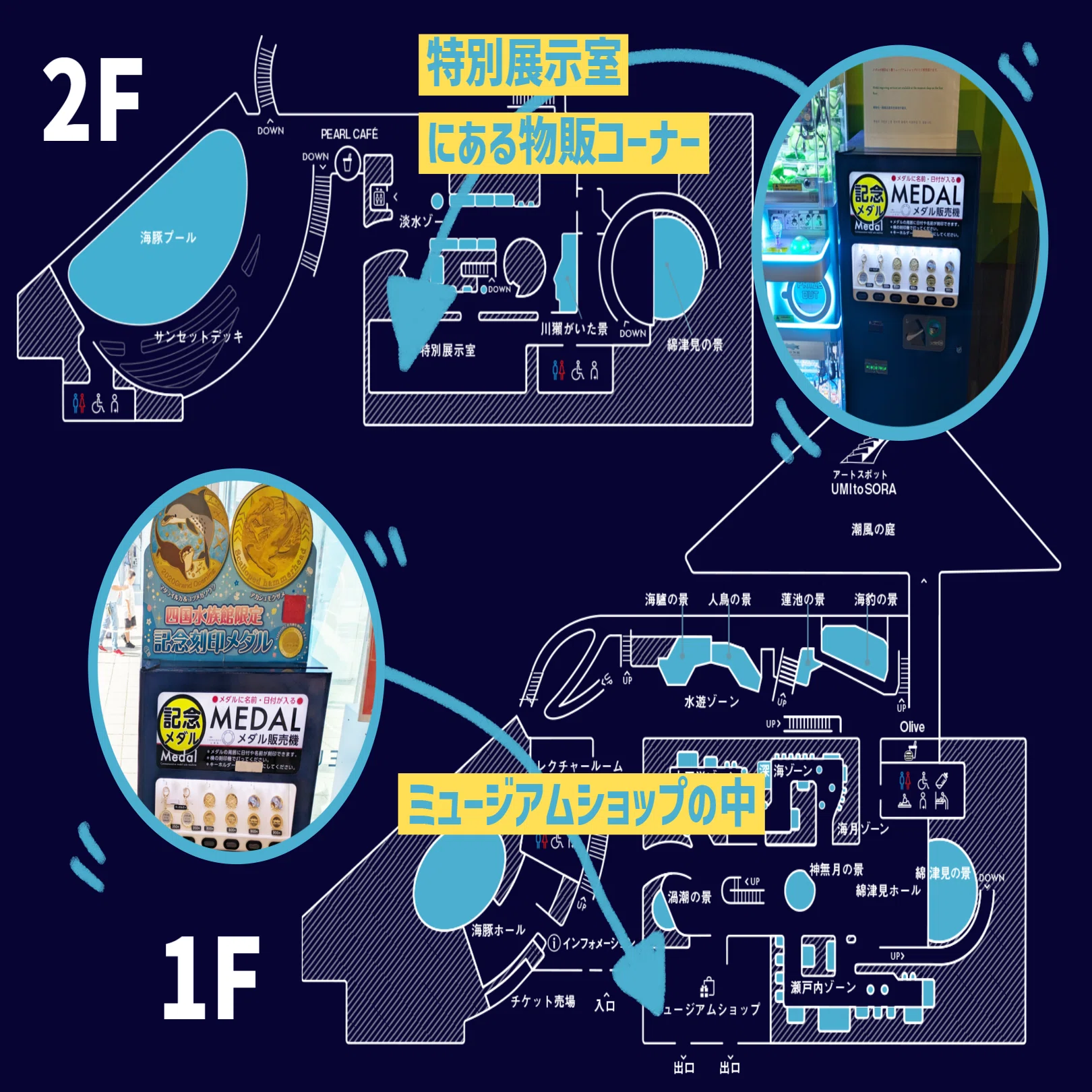 記念メダル】四国水族館で集める｜ATUPON