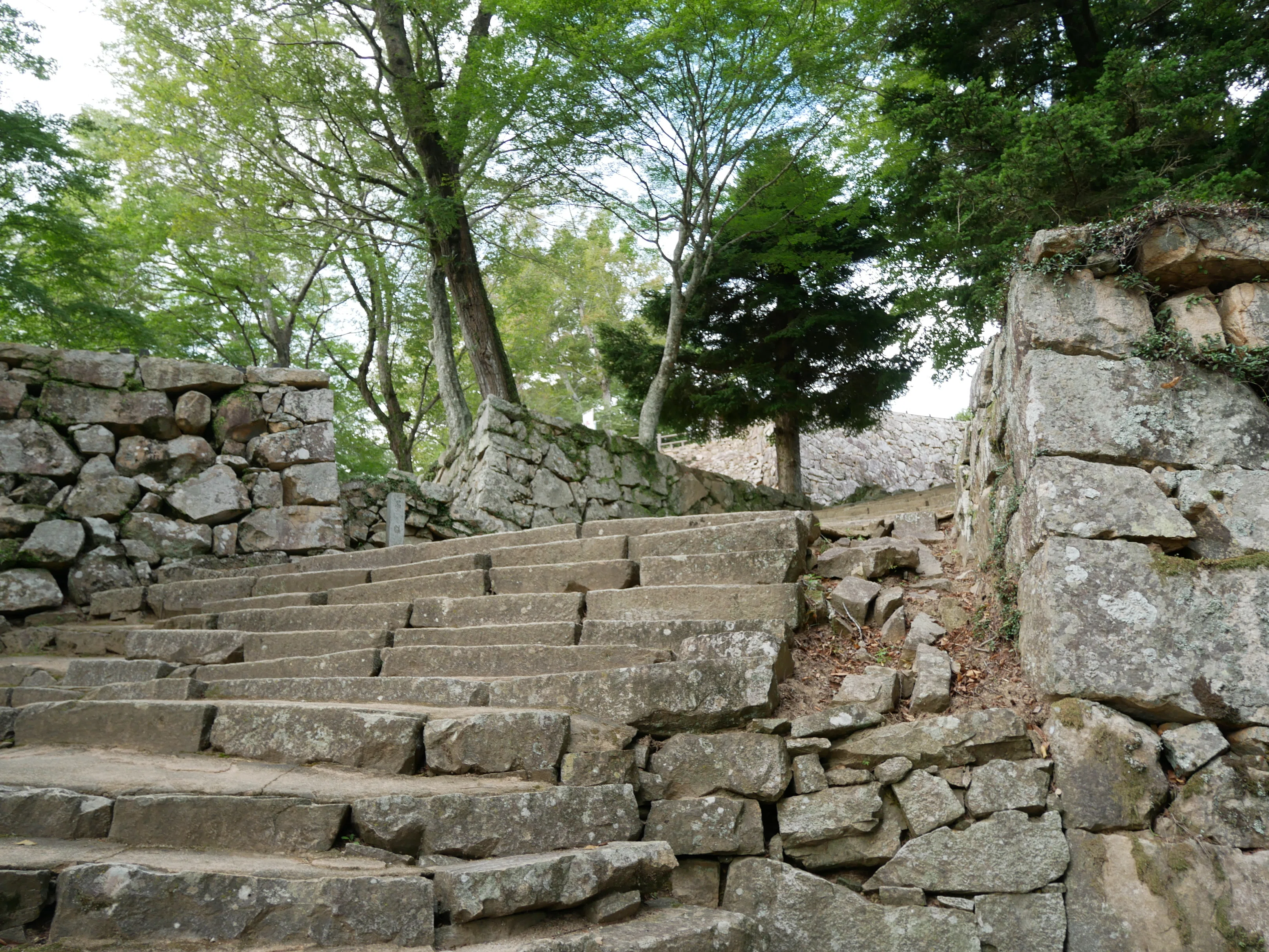 733 天空の山城へ、息を切らせて。備中松山城で出会った風景｜揺蕩う