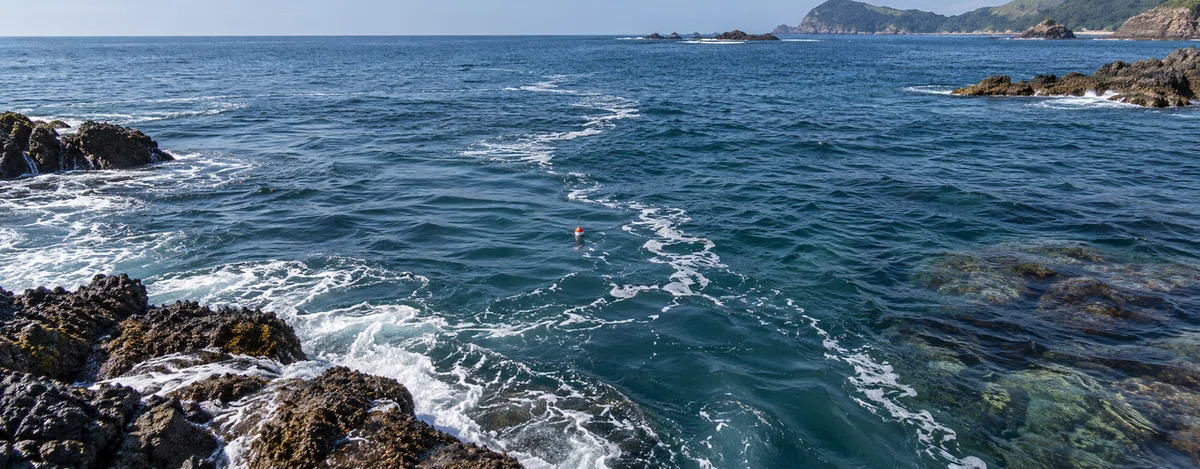 岩のそばを流れる潮の筋や泡を観察する磯釣り