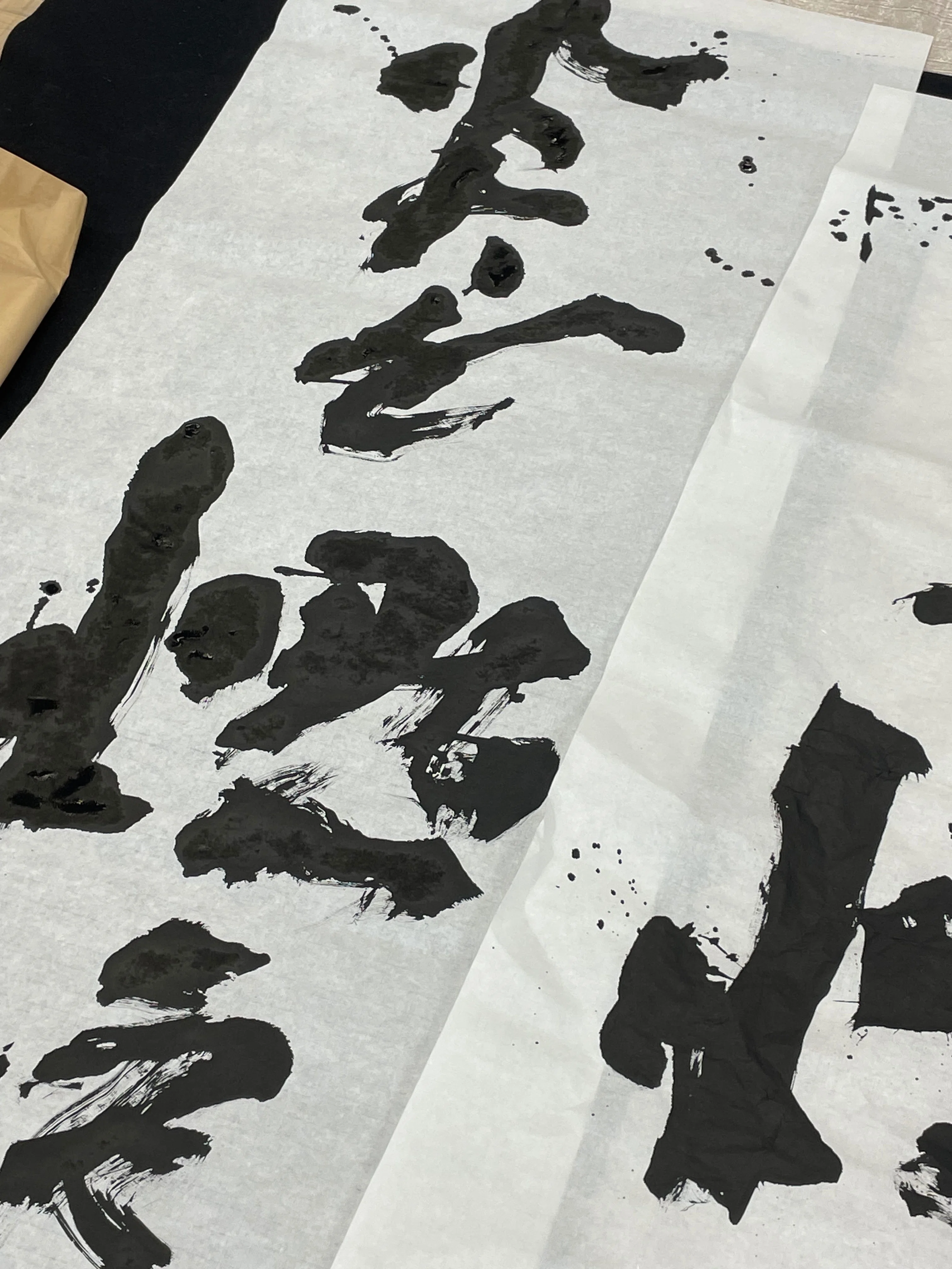 毎日書道展に落選した。それでも、また書いている｜aukio｜写真とZINE