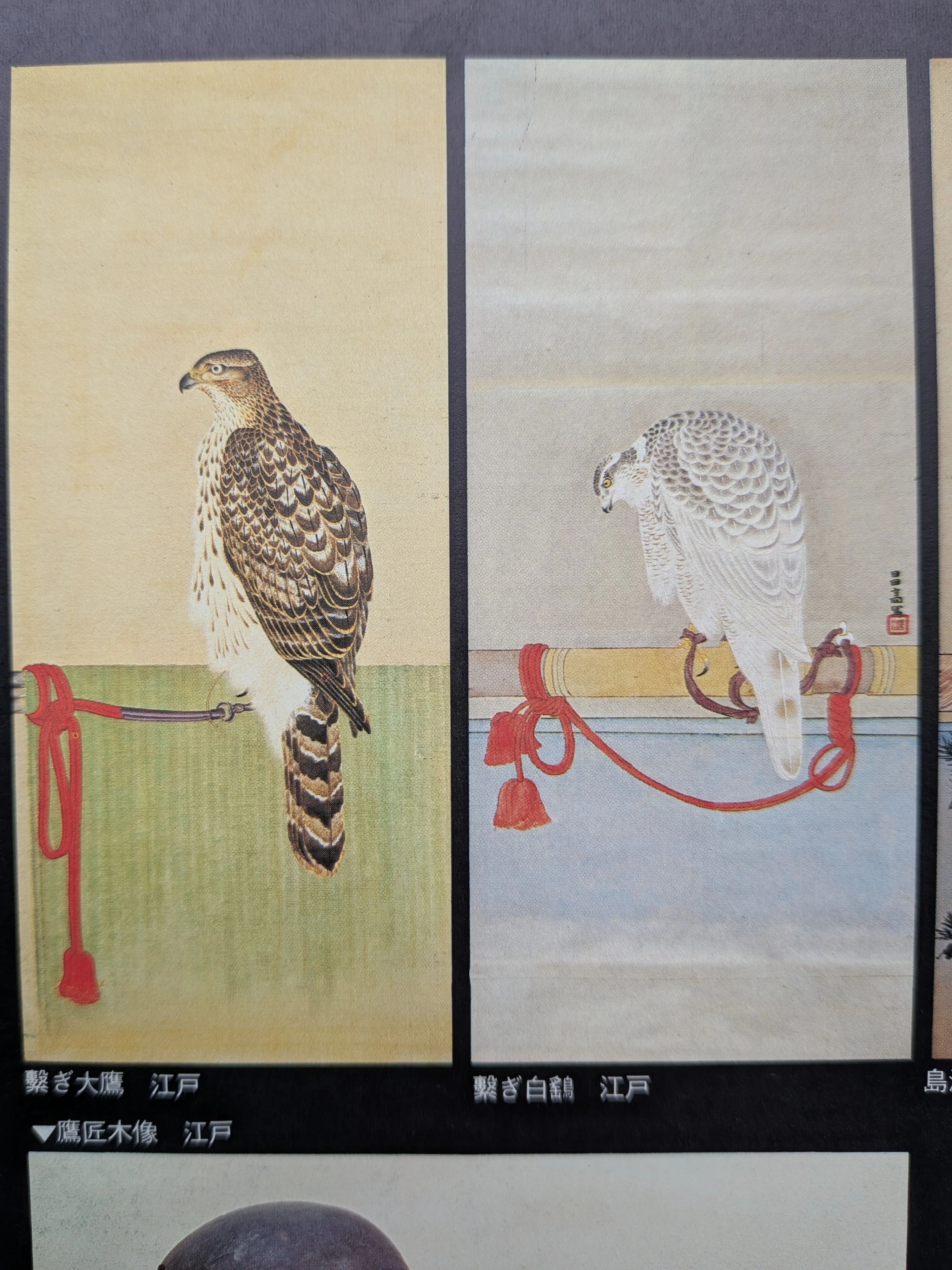鷲・鷹」絵画の謎｜鷹司