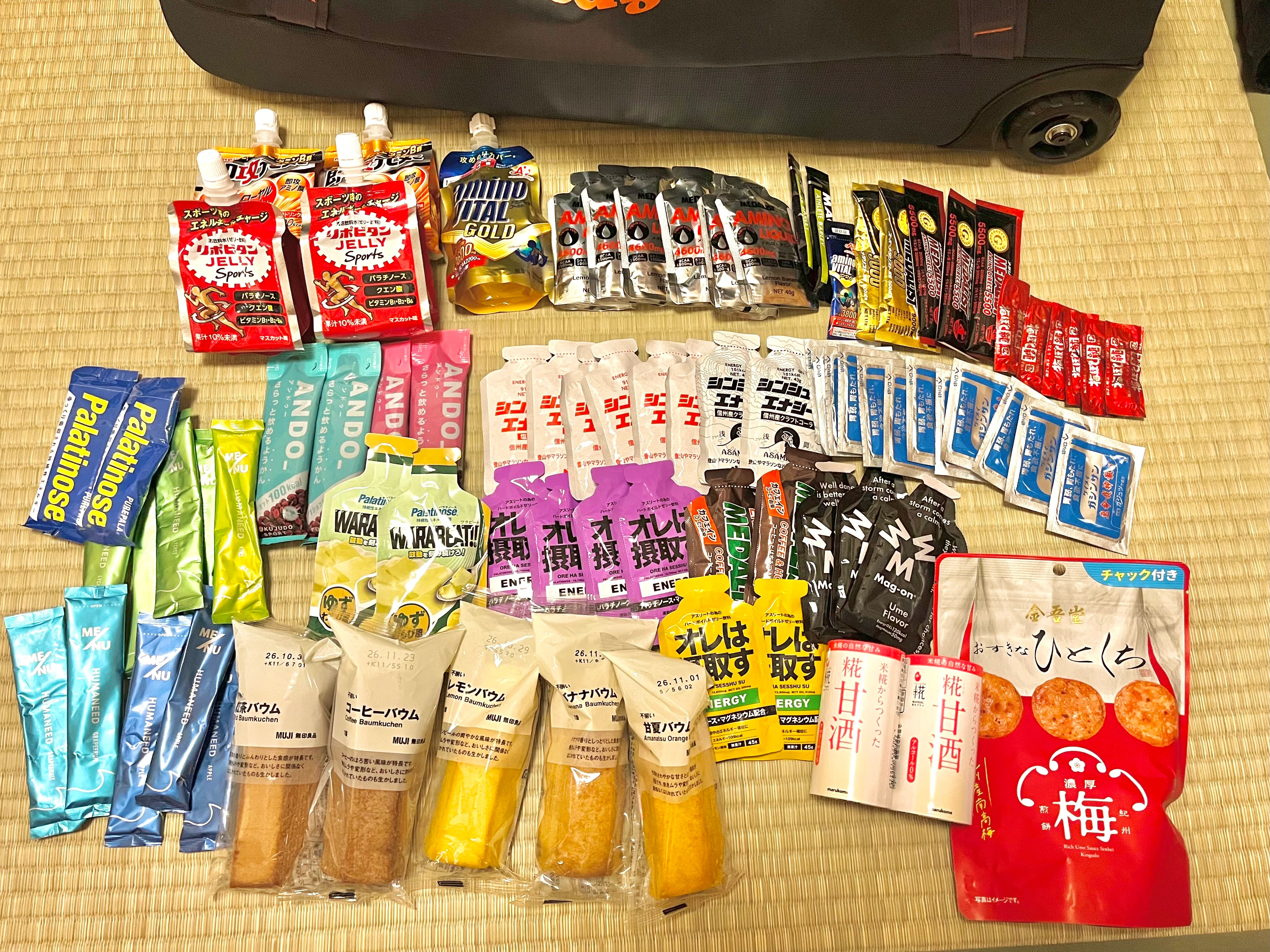 Shin-etsu Five Mountains 100-mile Race Report Part 1: From the Click ...