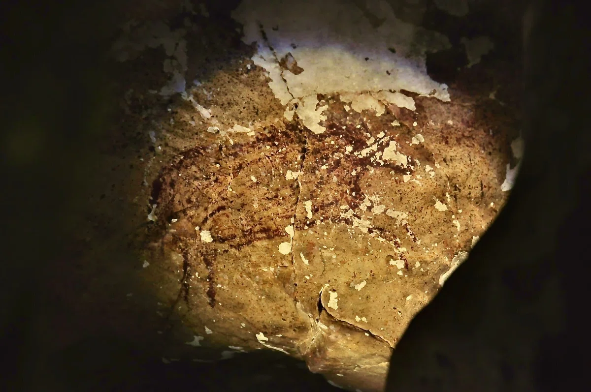 Shapes Examples Object Reconstructing the Classic Subject 'Composition of Natural Objects' (1 ...