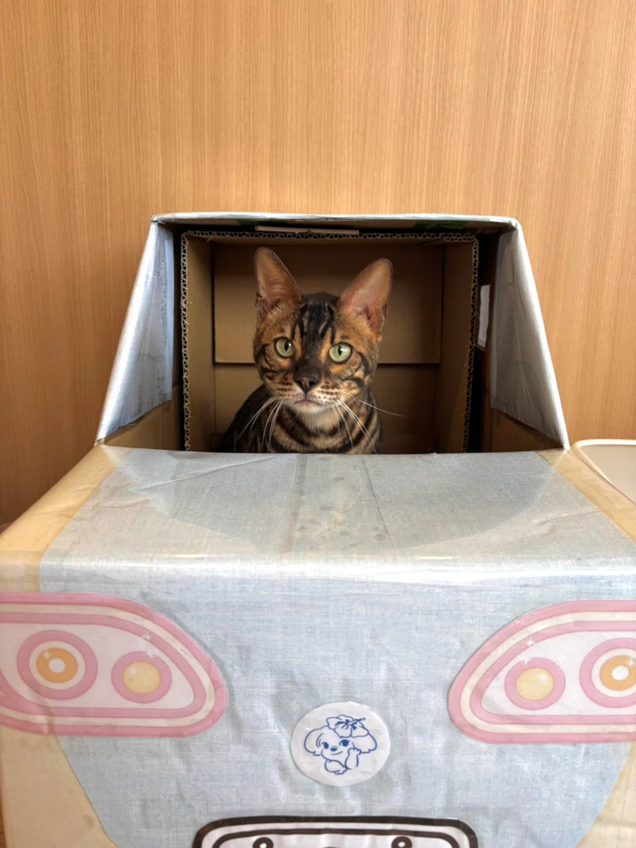 [Tsuchiura Employment Support] 4 Best Shots Taken by Our Users That Are ...