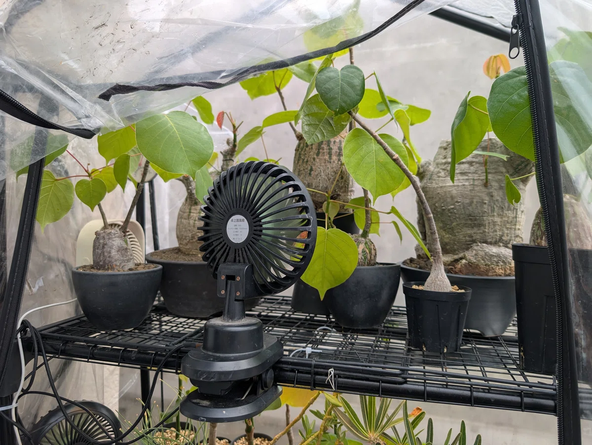 [Growing Gear Introduction] Preventing Stuffiness in Greenhouse Racks ...