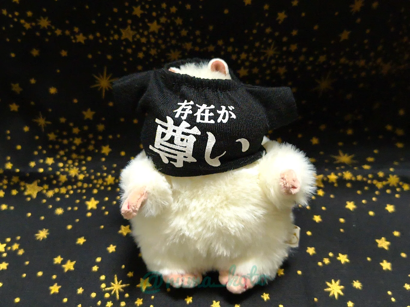 かわいいぬいぐるみ『はむにぎり』と100均ぬい服＆キングジム広辞苑｜ルマ