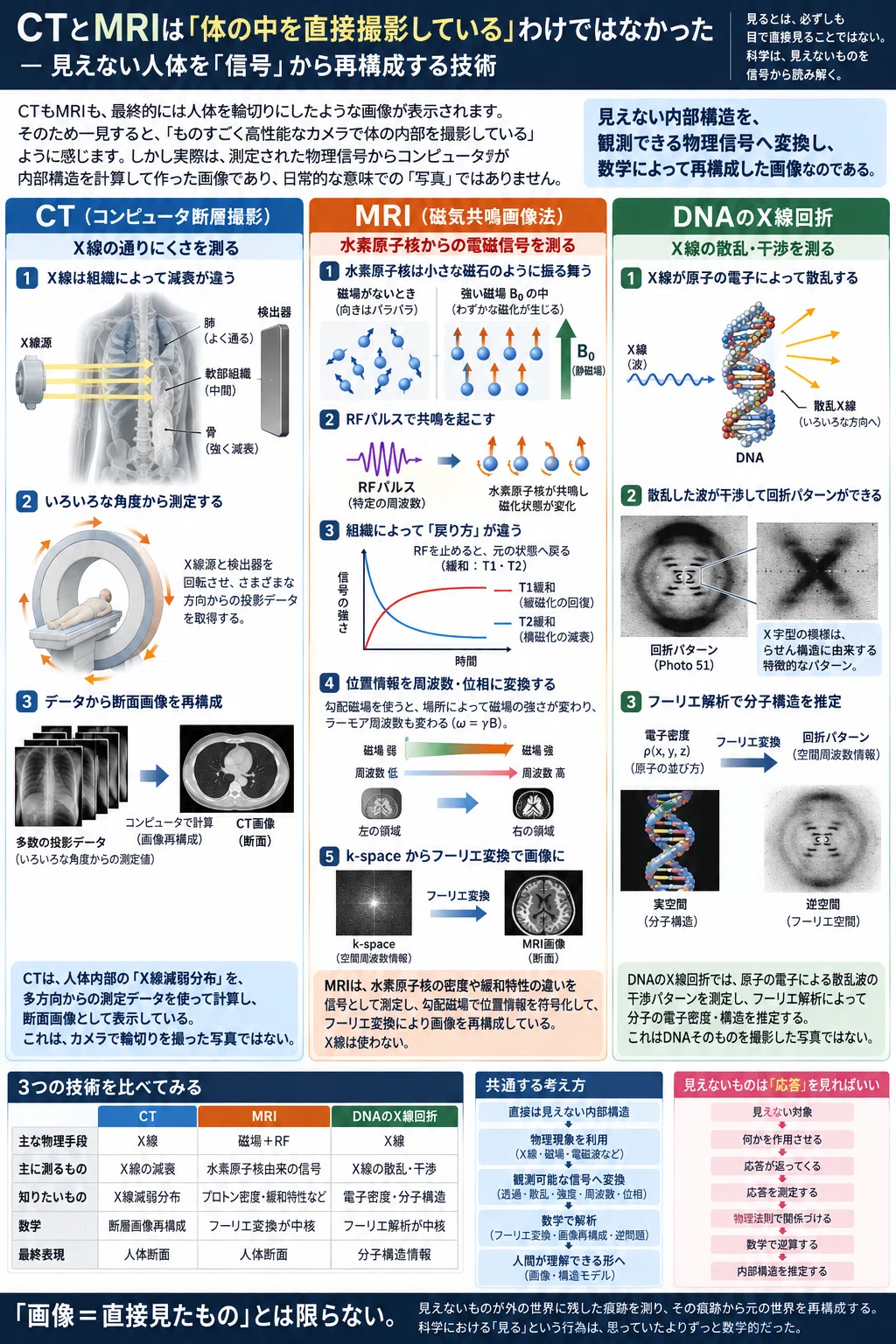 CTとMRIは「体の中を直接撮影している」わけではなかった― 見えない