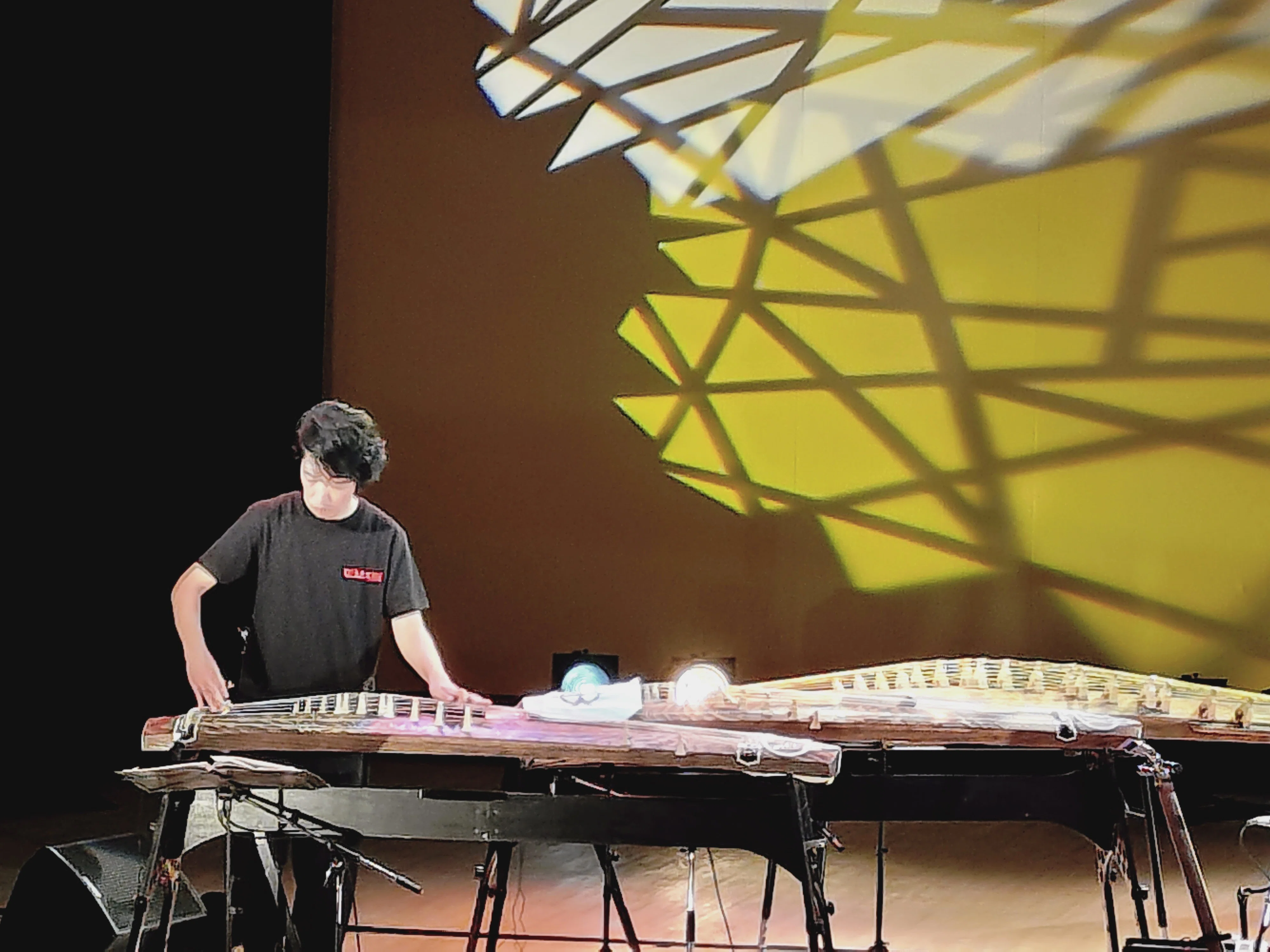 新・純邦楽ユニットWASABI LIVE2026「四奏繚乱」｜aya