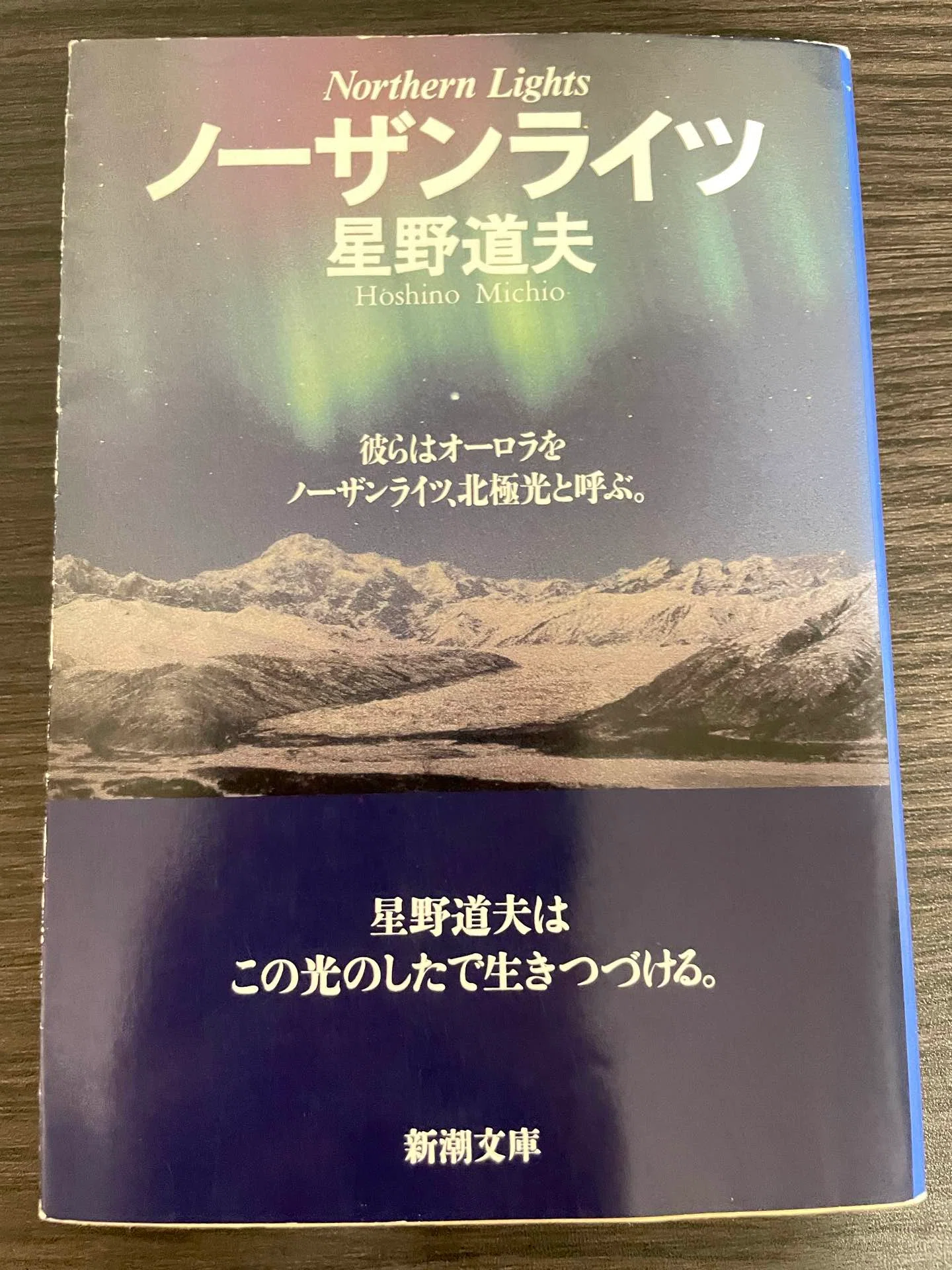 星野道夫『ノーザンライツ』｜市井のマキ