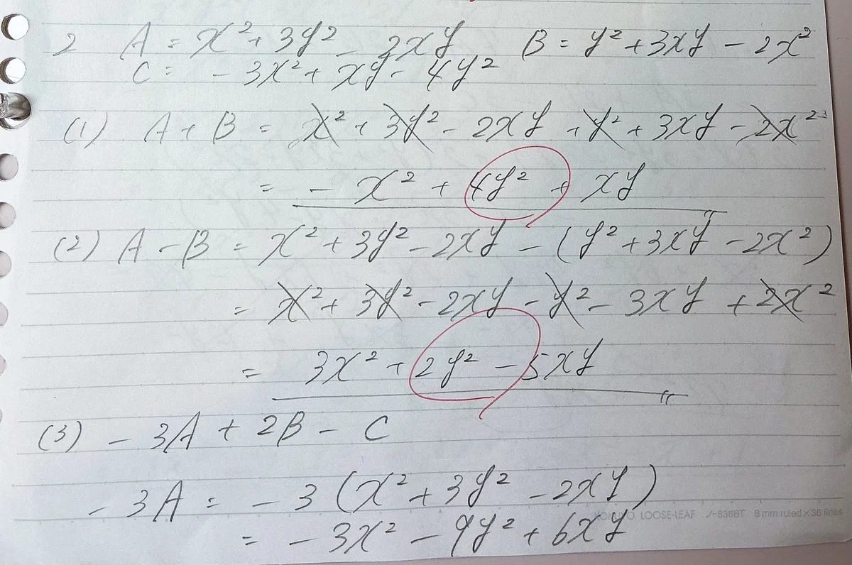 A Pharmacy Student and Cram School Tutor Tries Solving Blue Chart Math ...