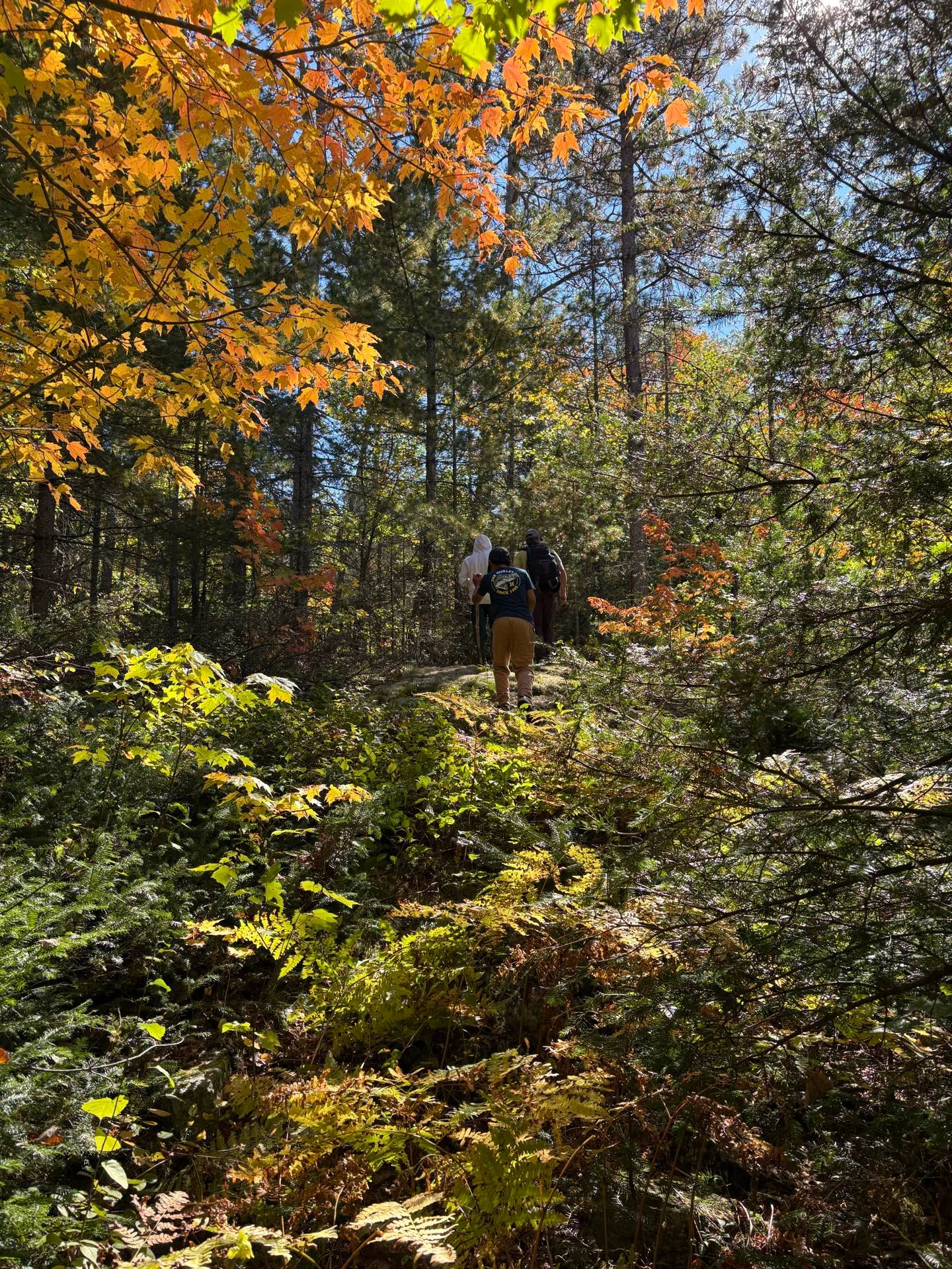 I followed my outdoor instructor husband into a pathless forest, and ...