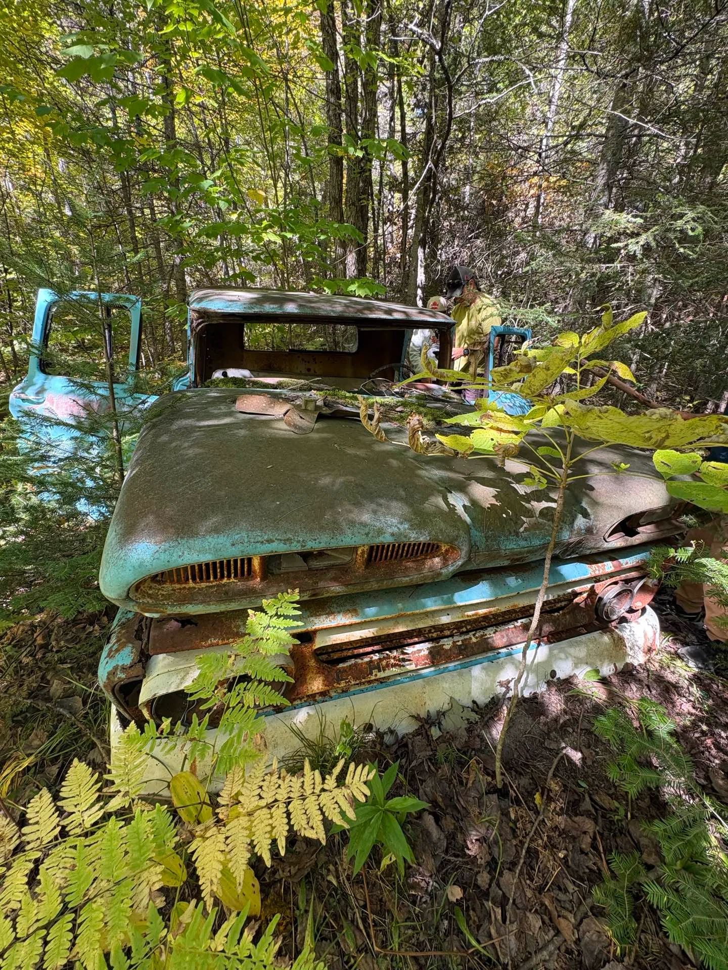I followed my outdoor instructor husband into a pathless forest, and ...