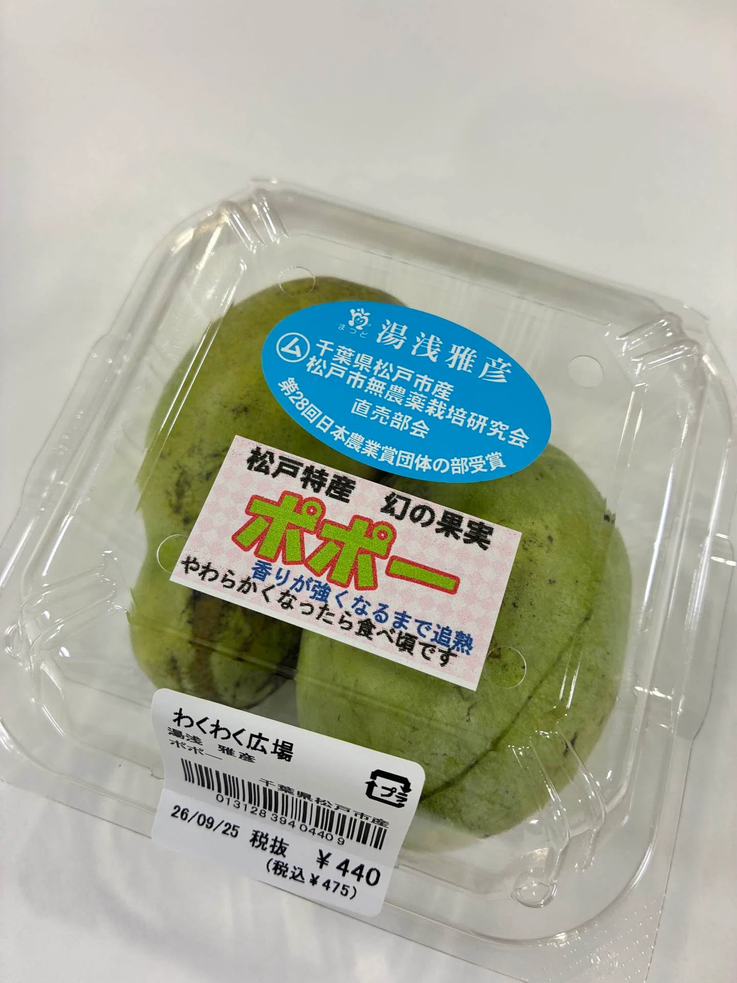 松戸特産！？幻の果実ポポーを食べてみた｜井口信之輔（Shinnosuke