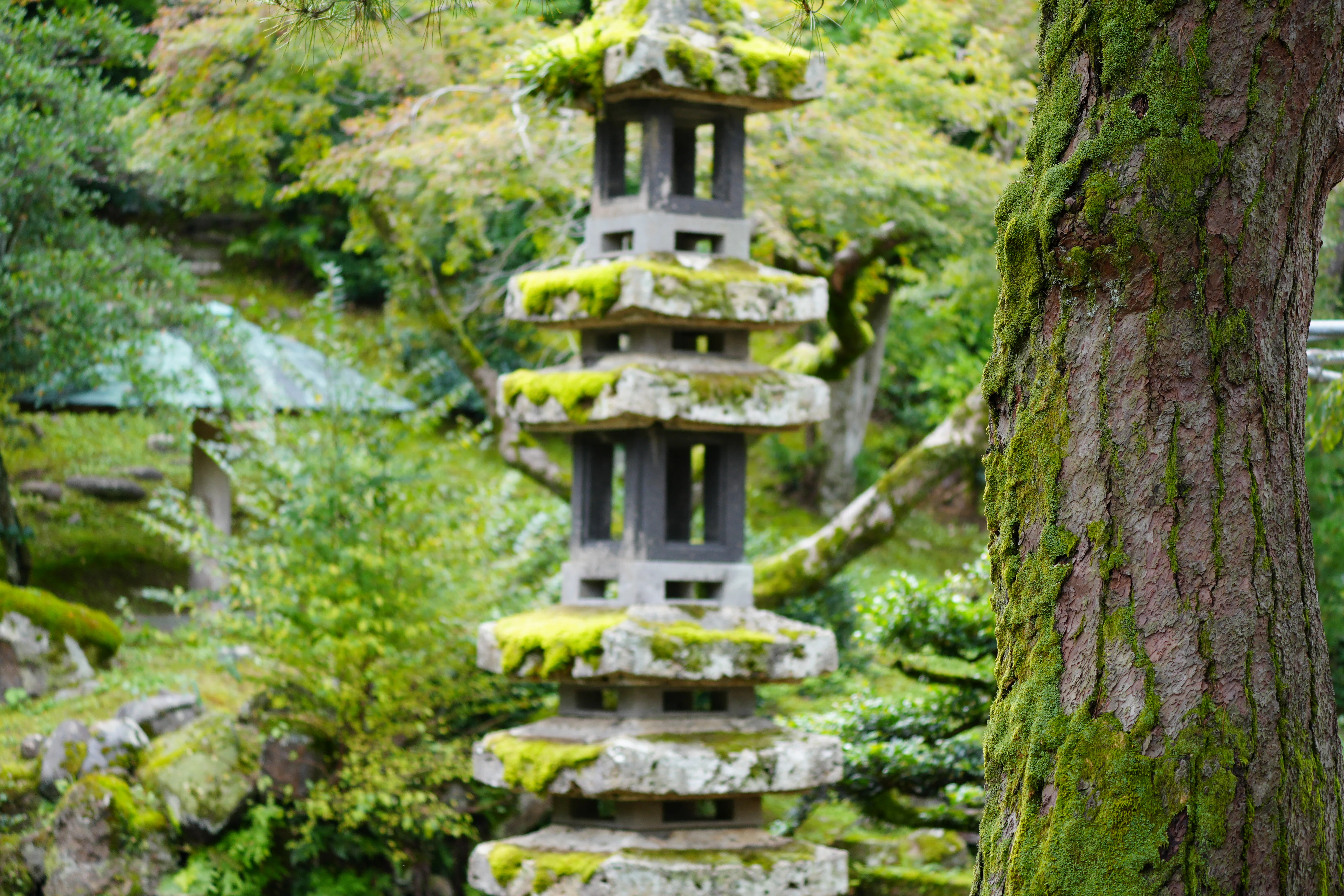 兼六園と石(2)｜Hiromi